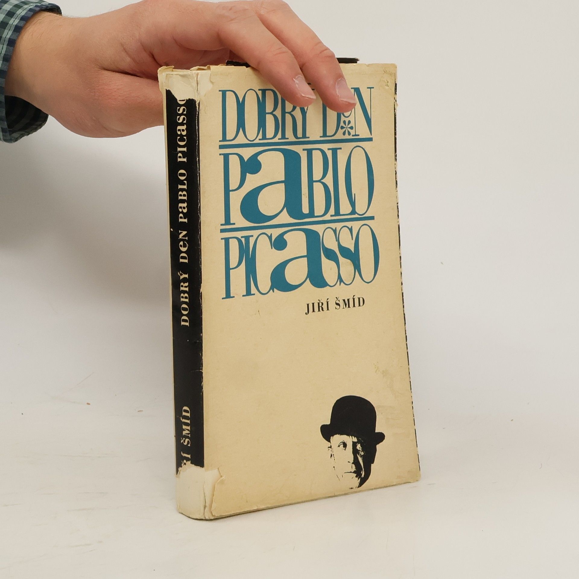 Jiří Šmíd Dobrý den Pablo Picasso. Úvahy sebrané cestou.