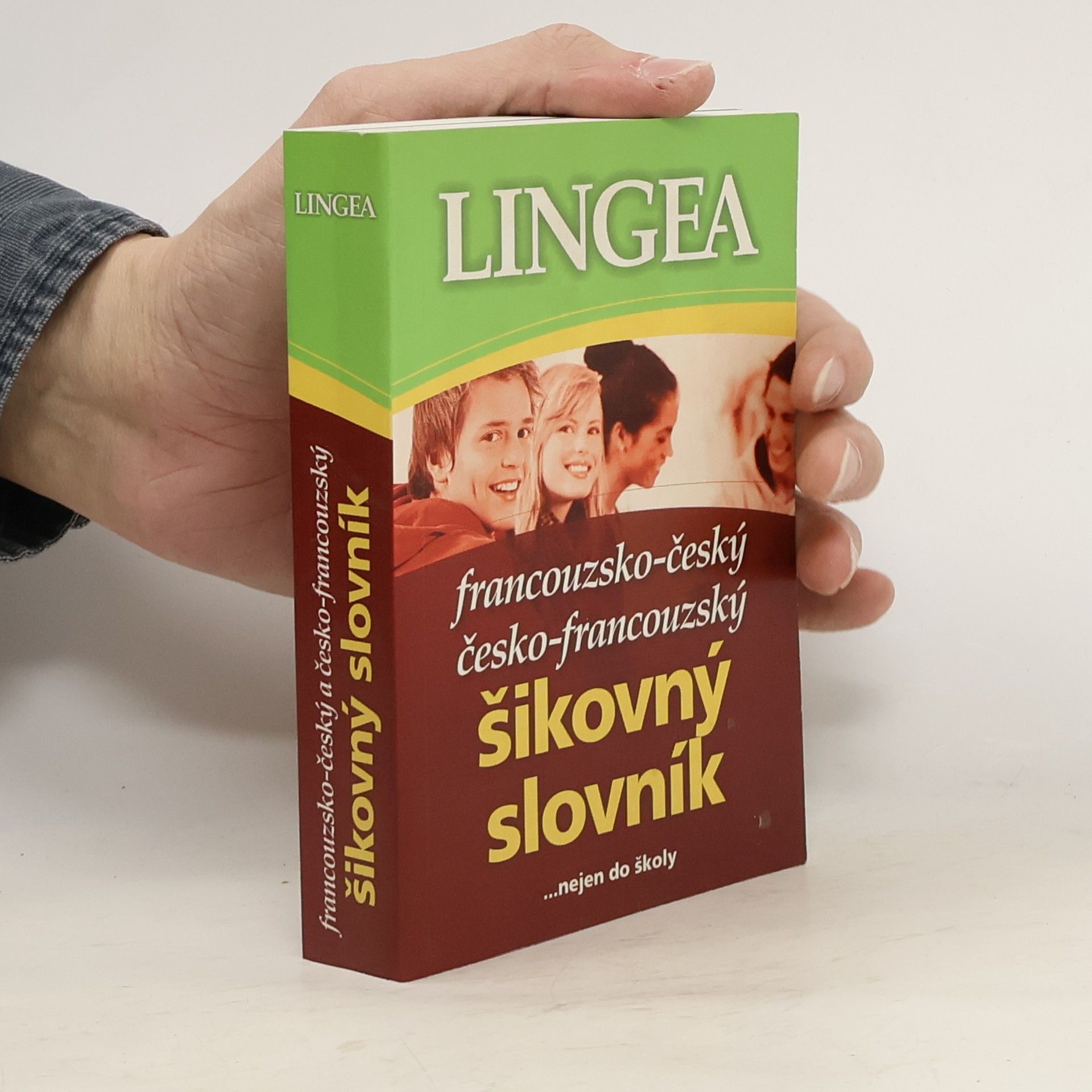 kolektiv Francouzsko-český, česko-francouzský šikovný slovník