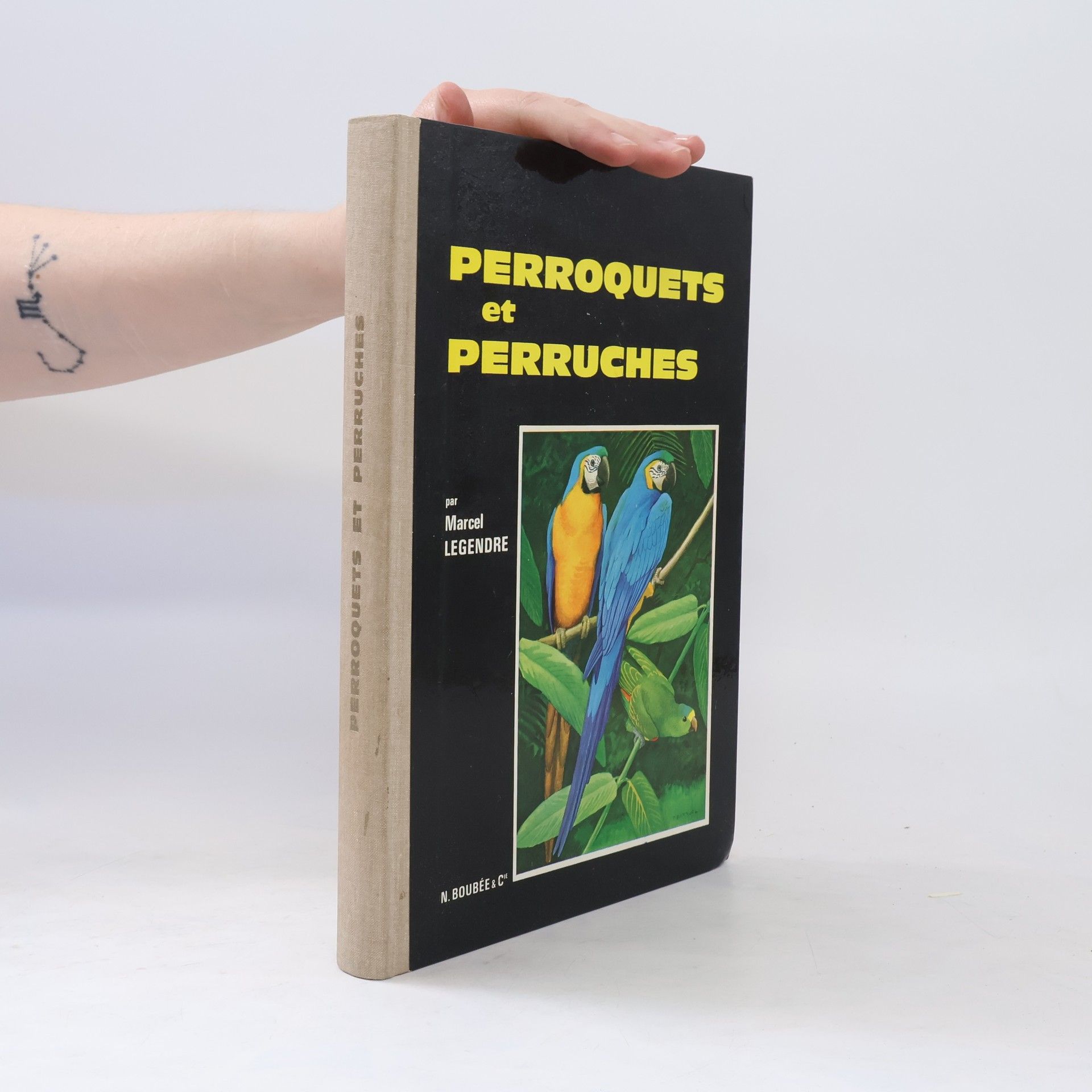 Marcel Legendre Perroquets et Perruches
