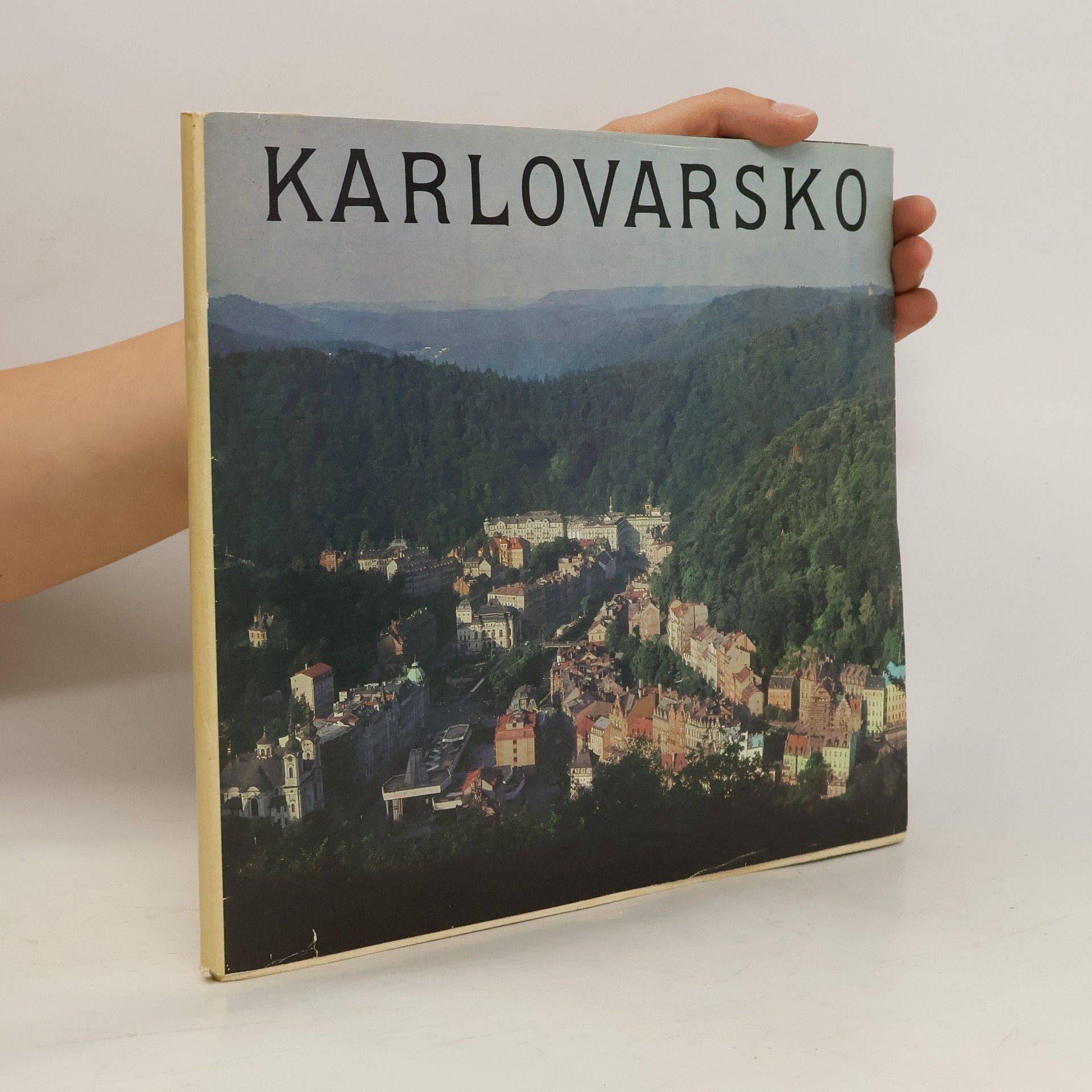 Stanislav Burachovič Karlovarsko
