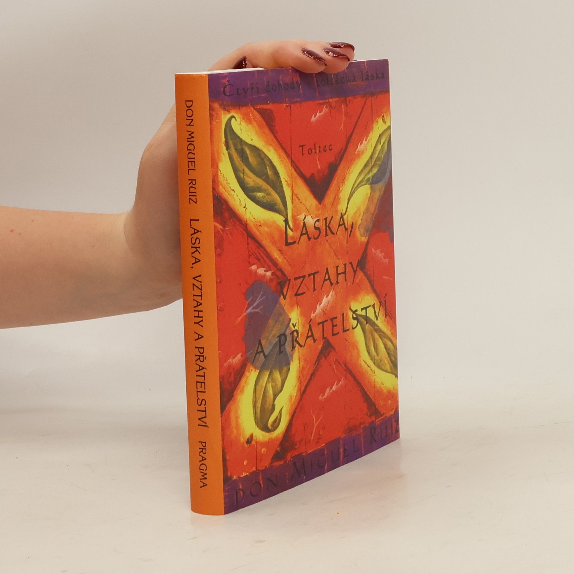 Don Miguel Ruiz Láska, vztahy a přátelství