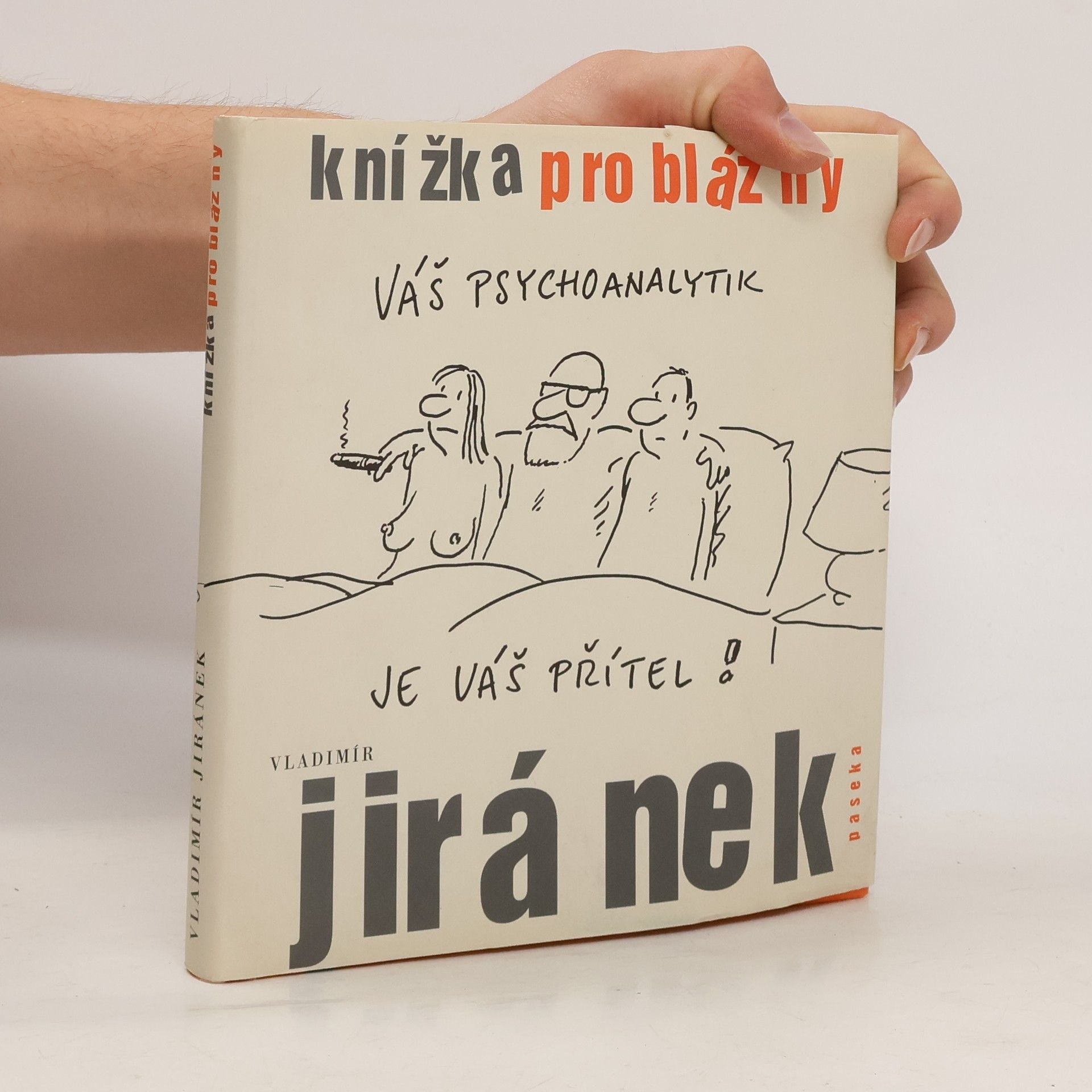 Vladimír Jiránek Knížka pro blázny