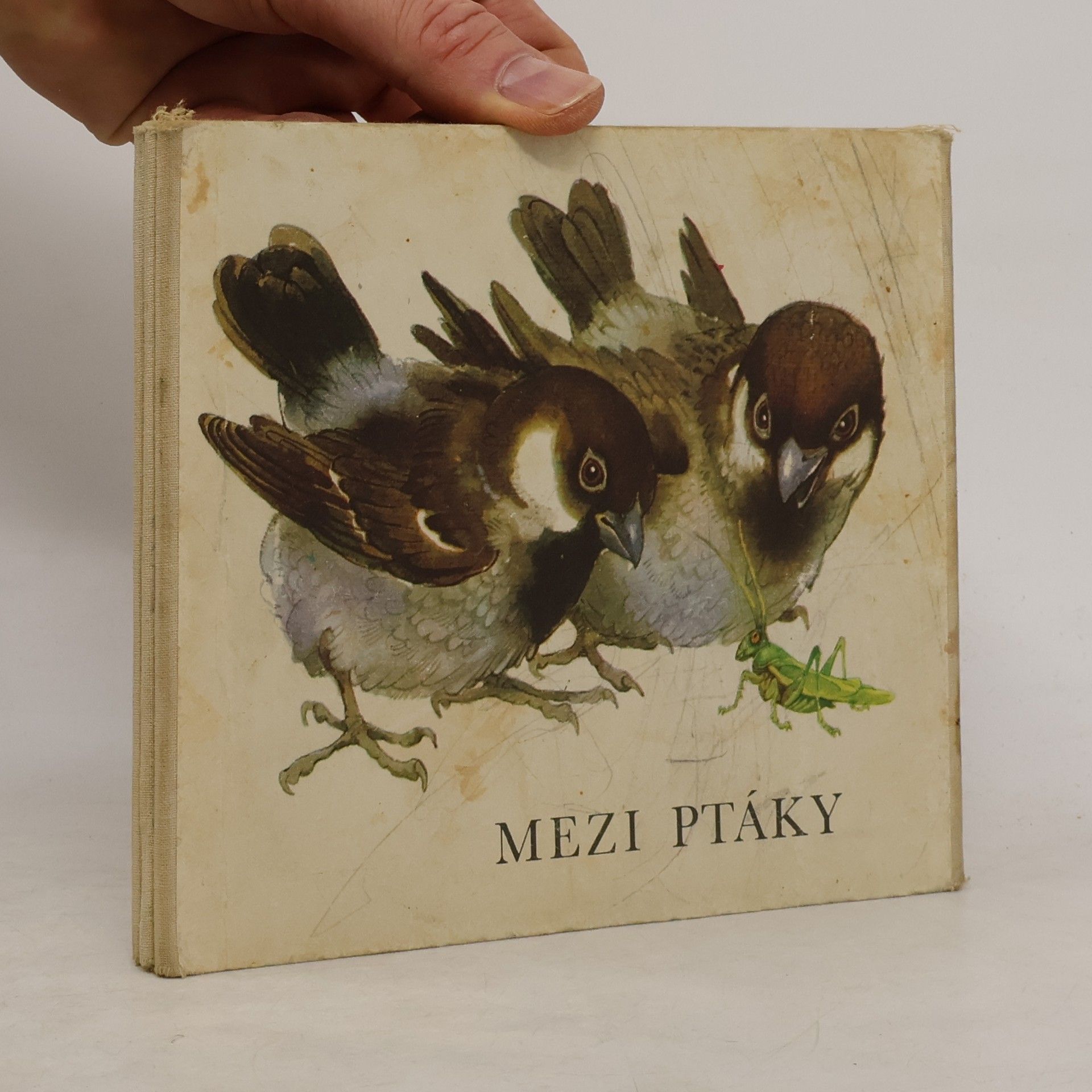 J. Háj Mezi ptáky