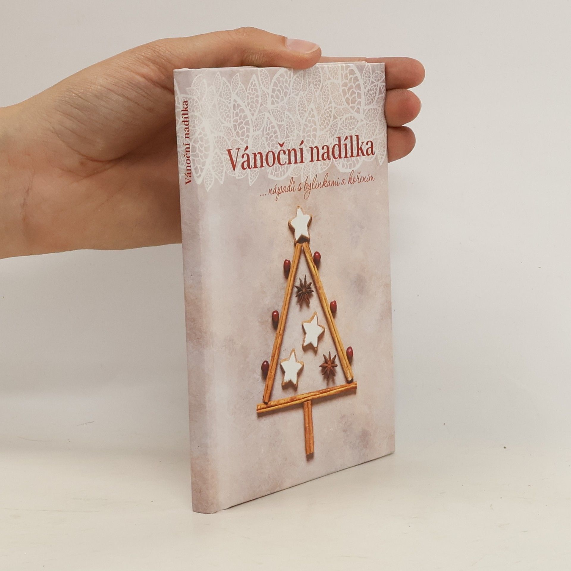 Dagmar Pinkasová Vánoční nadílka...nápadů s bylinkami a kořením