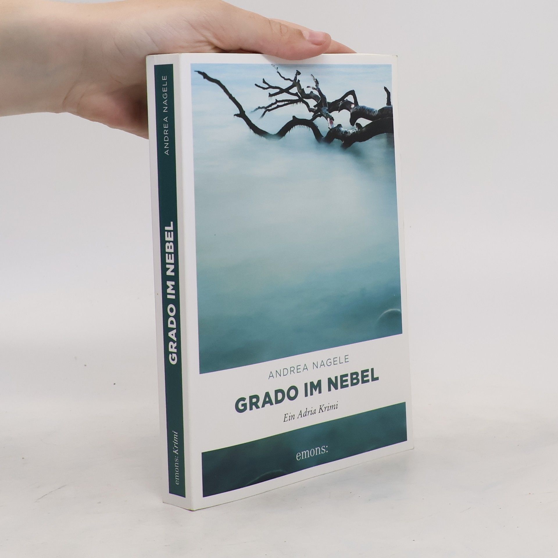 Andrea Nagele-König Grado im Nebel