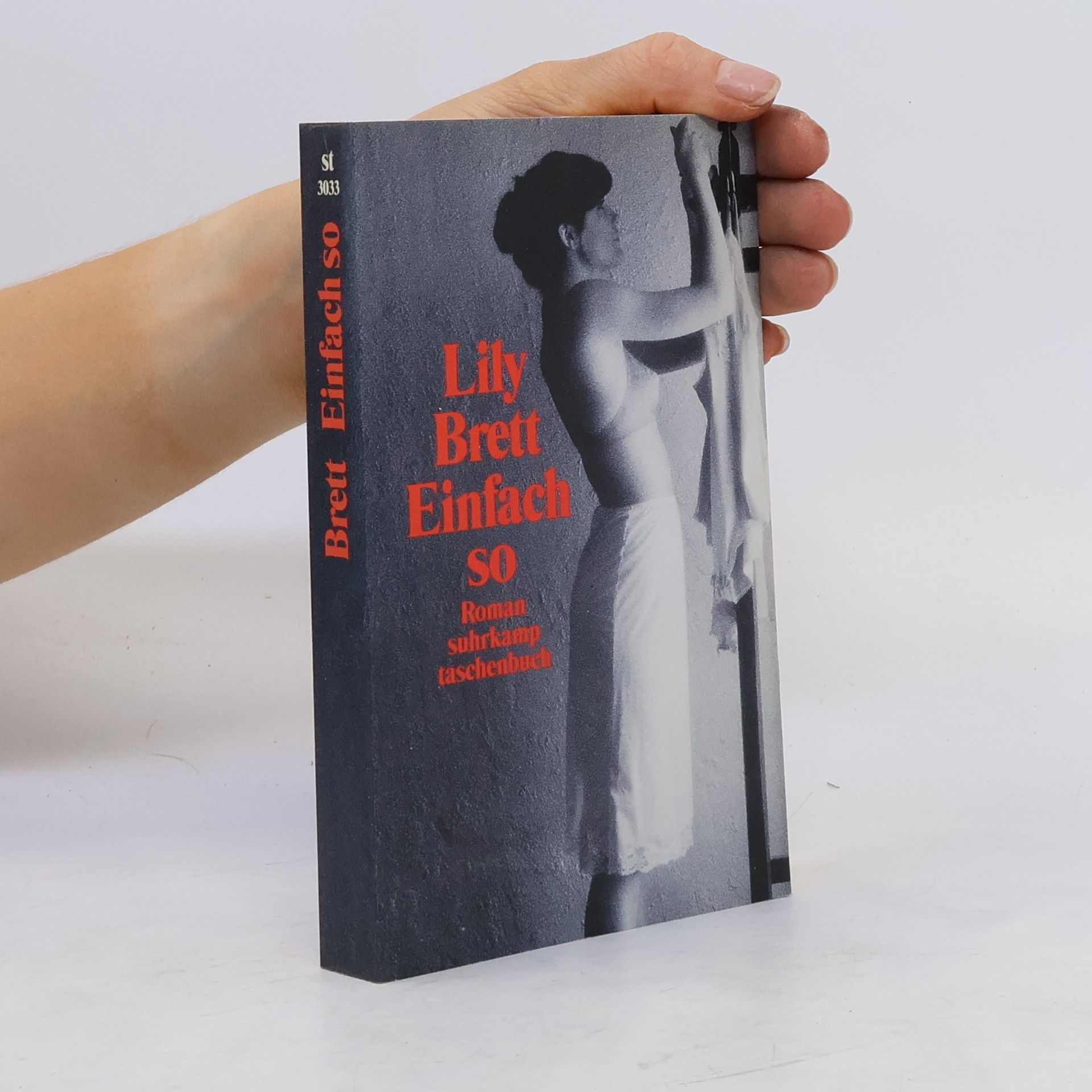 Lily Brett Einfach so
