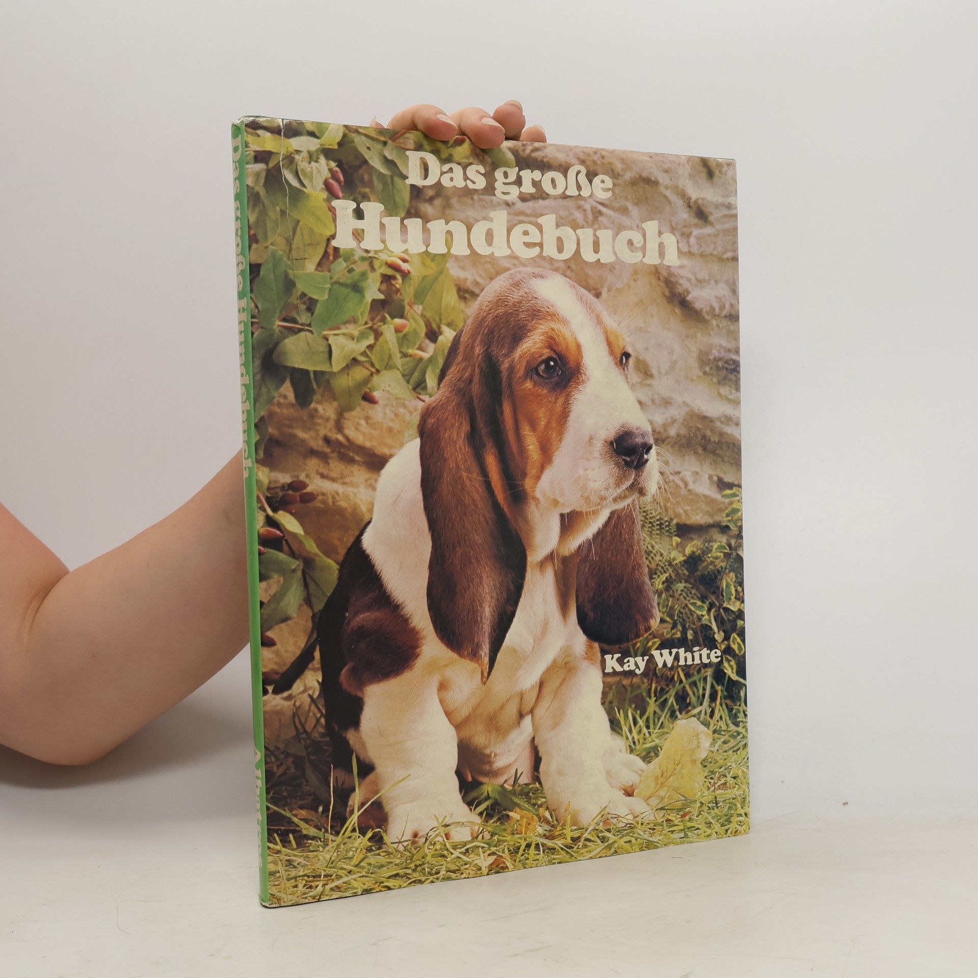 Kay White The Wonderful World of Dogs