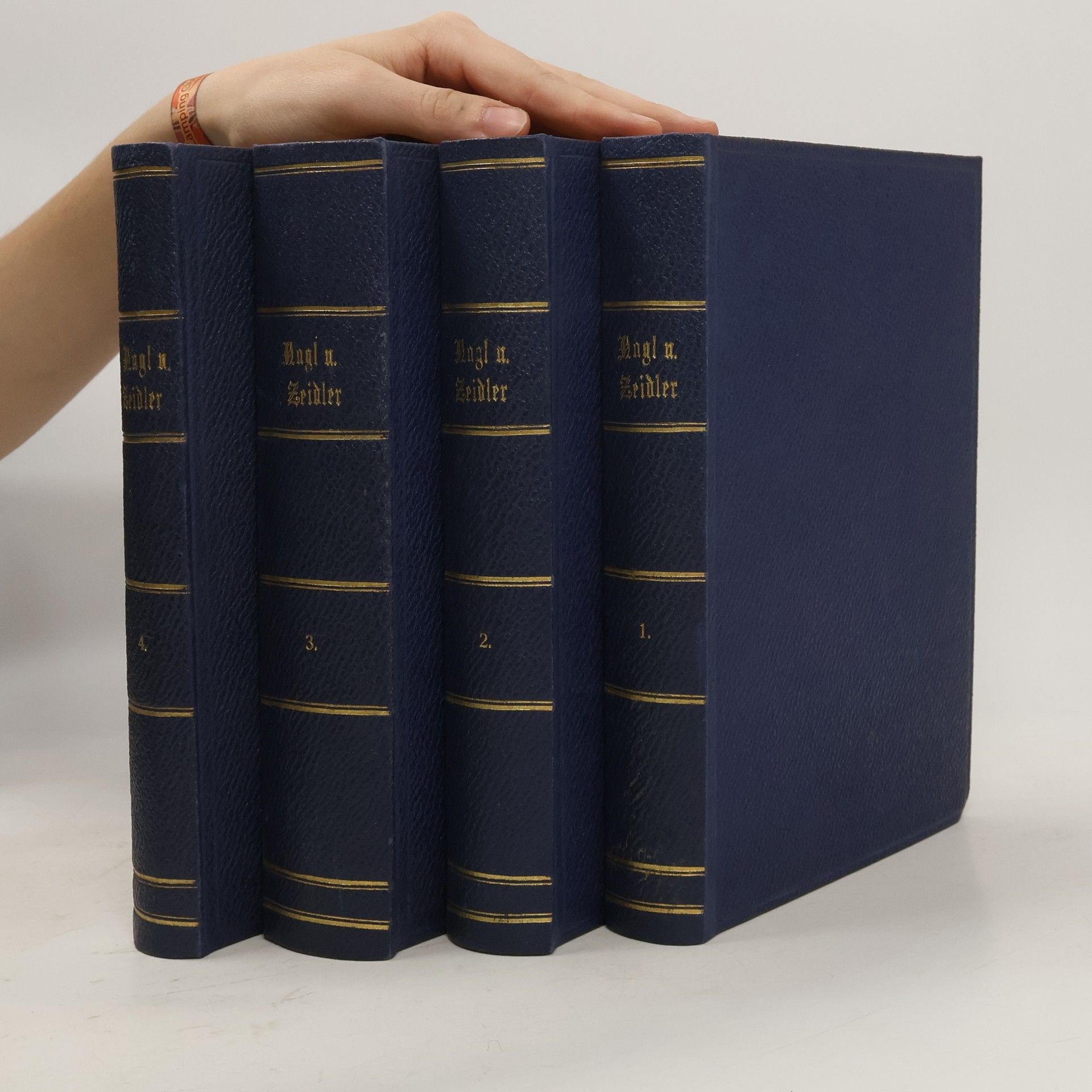 Deutsch-Österreichische Literaturgeschichte 1-4