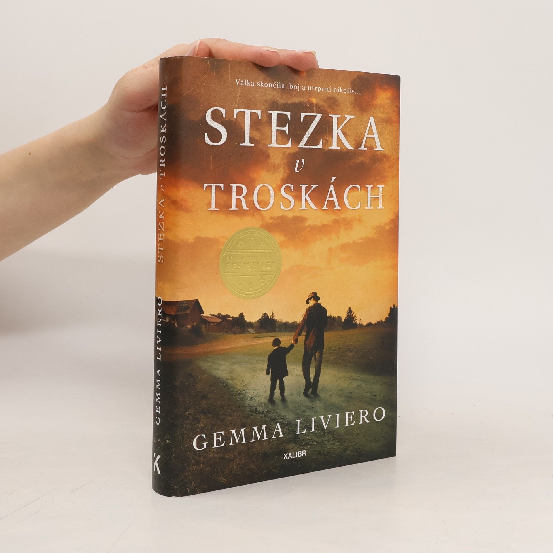 Gemma Liviero Stezka v troskách