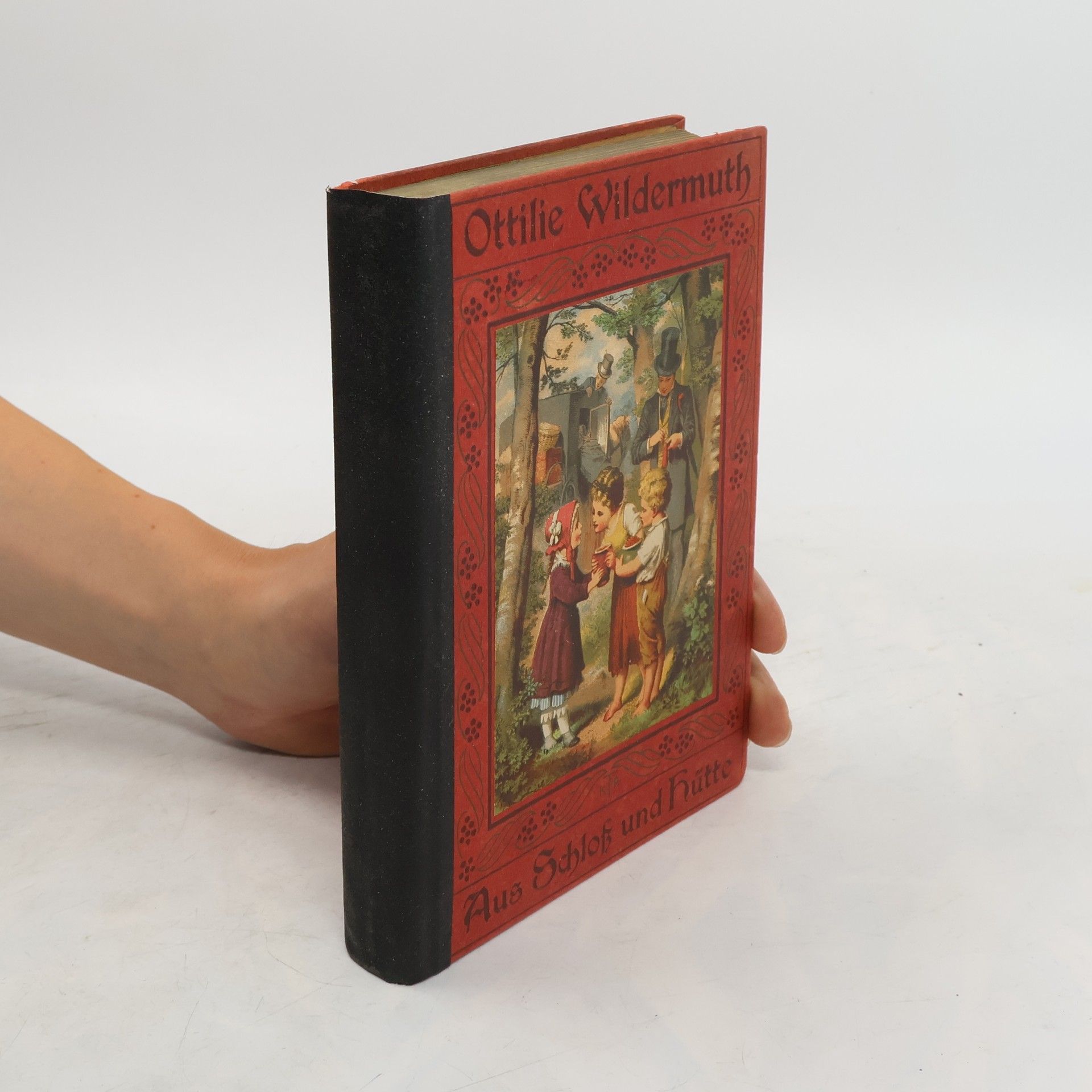 Ottilie Wildermuth Von Berg und Tal