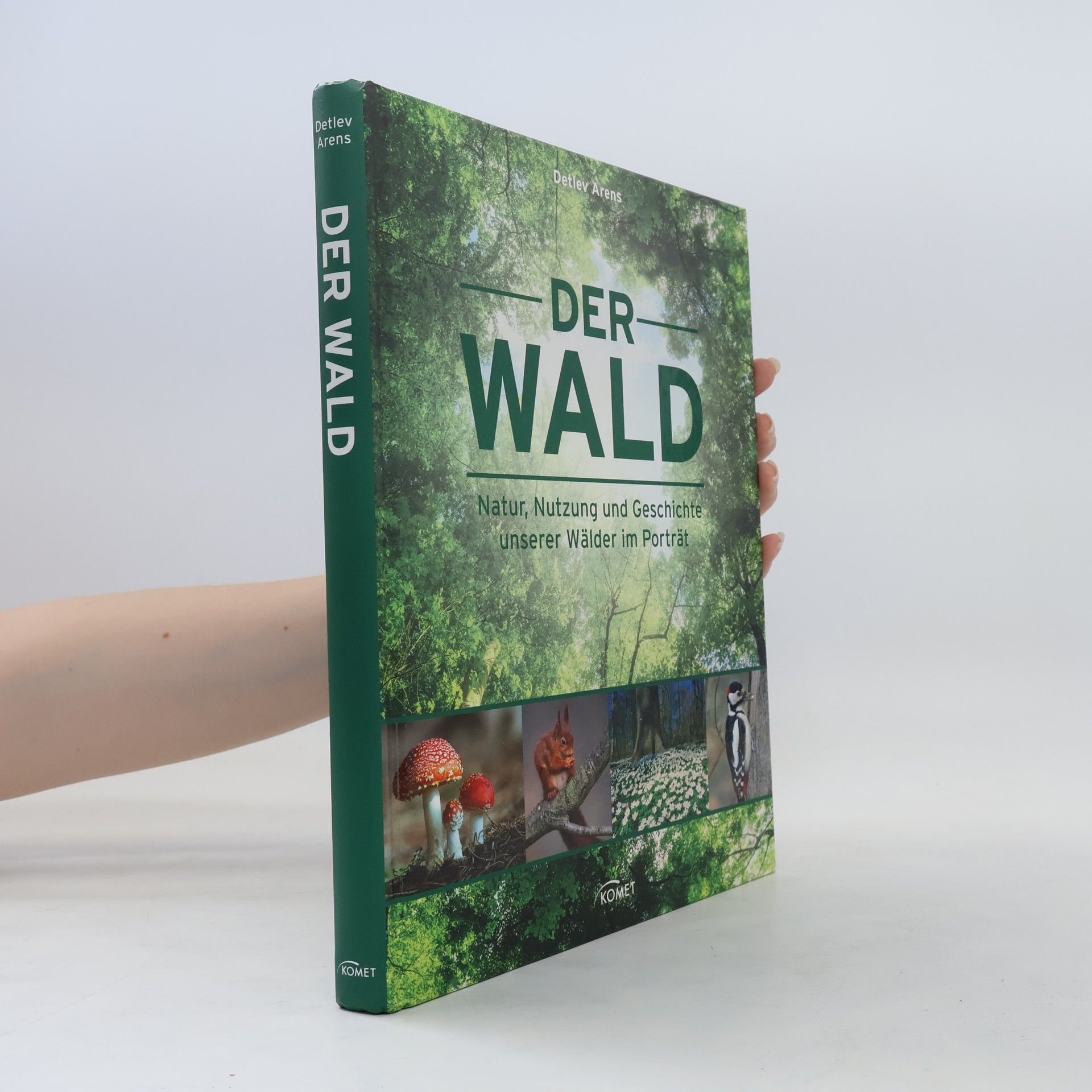 Detlev Arens Der Wald
