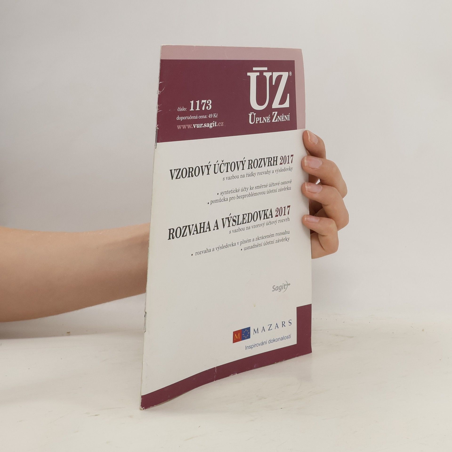 Autorenkollektiv Vzorový účtový rozvrh 2017. Rozvaha a výsledovka 2017