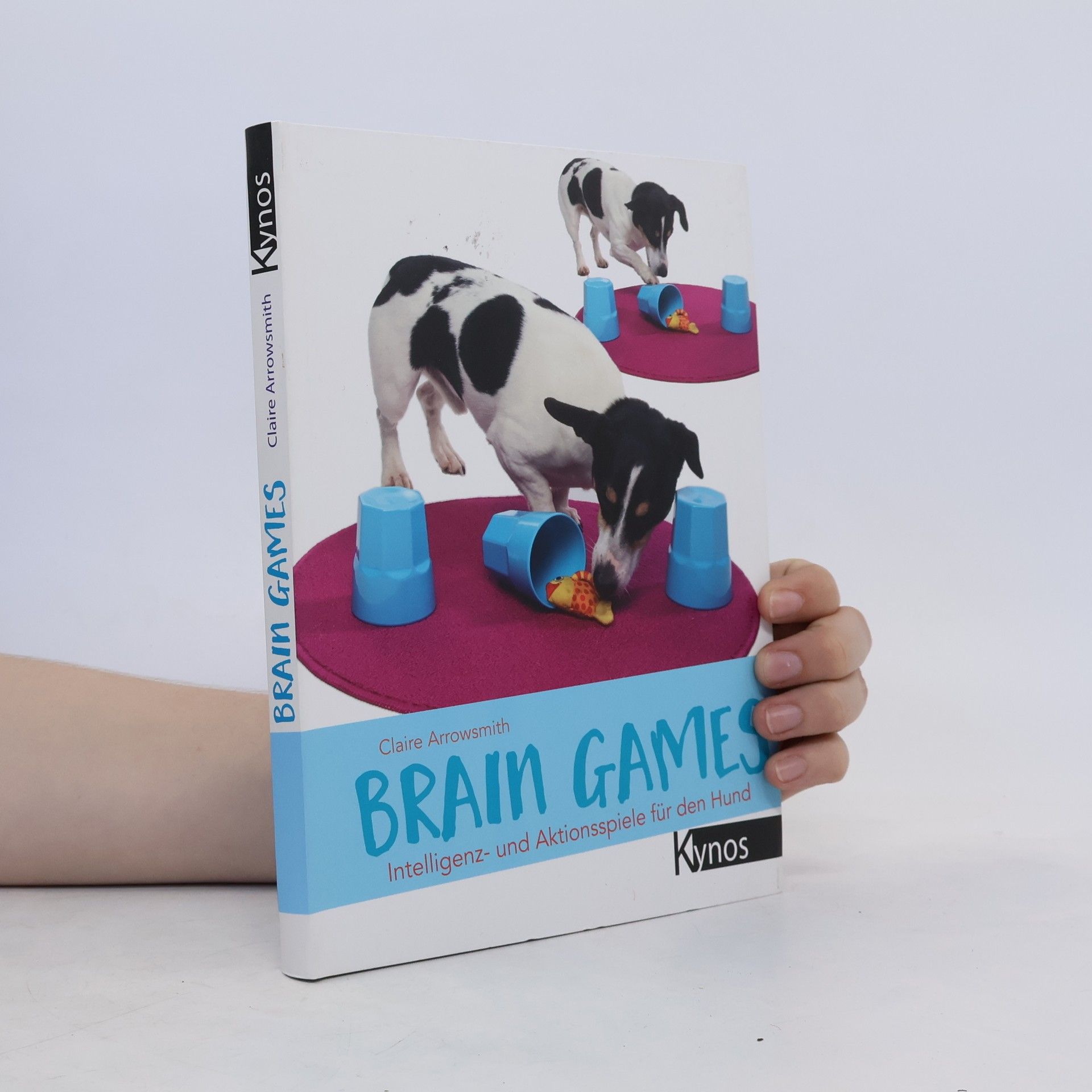 Claire Arrowsmith Brain Games