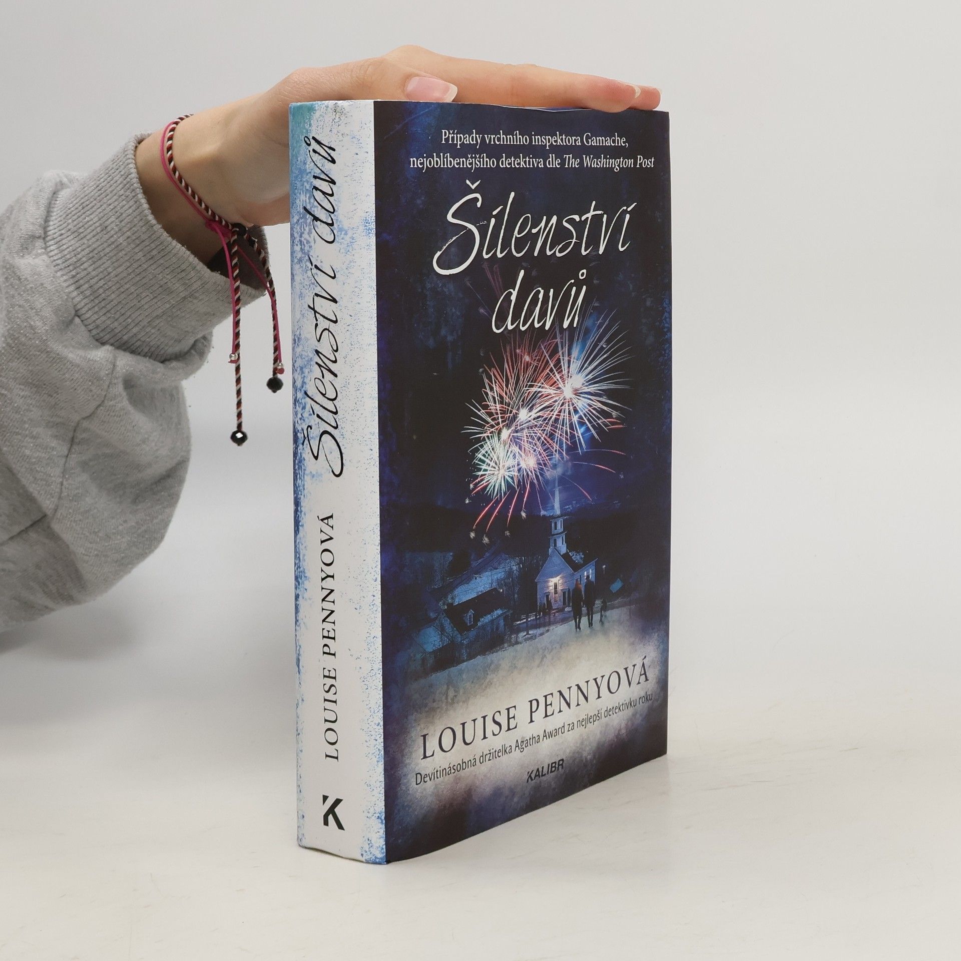 Louise Penny Šílenství davů
