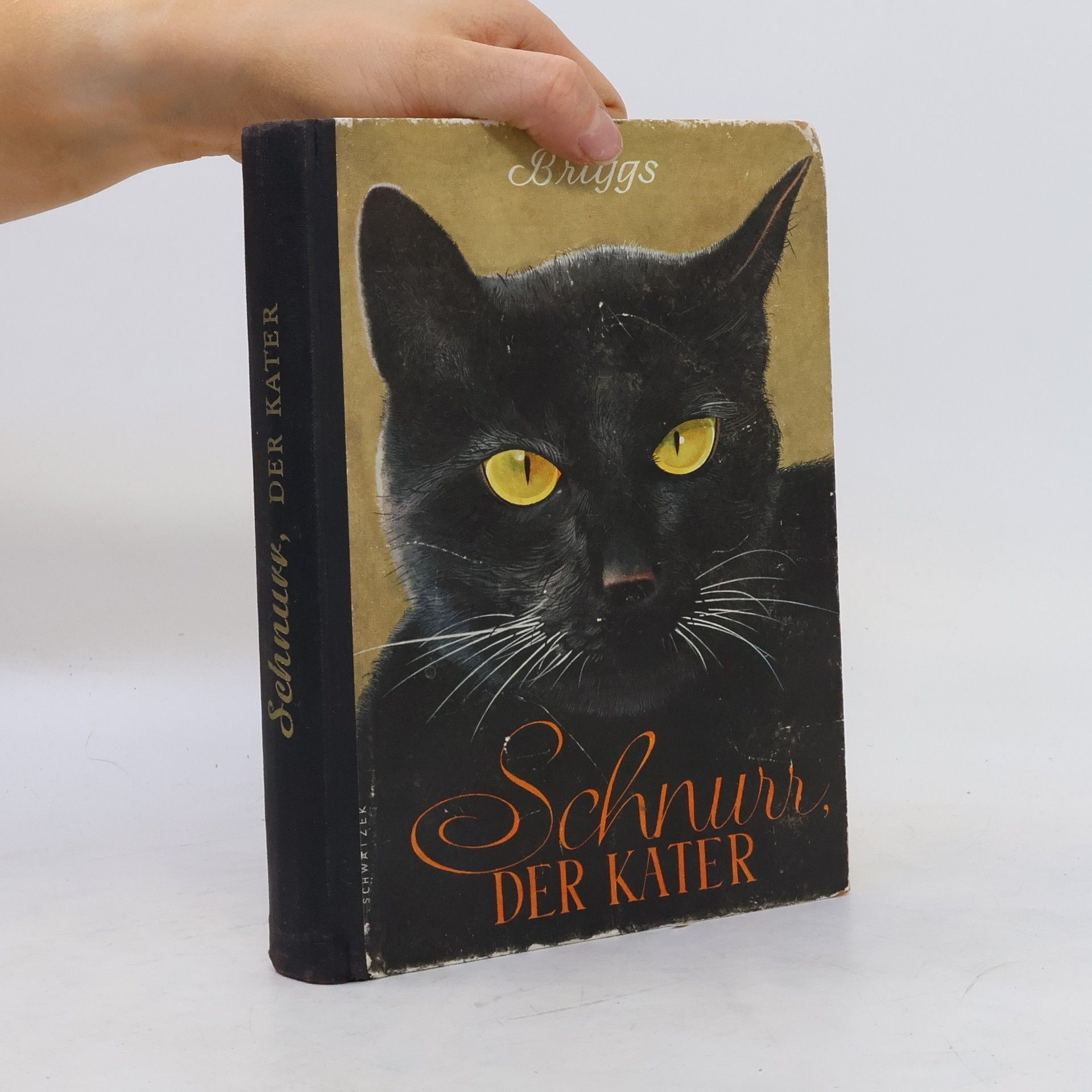 Phyllis Briggs Schnur. Der Kater