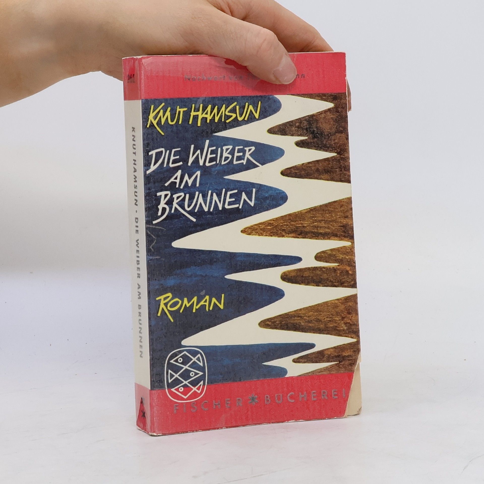 Knut Hamsun Die Weiber am Brunnen