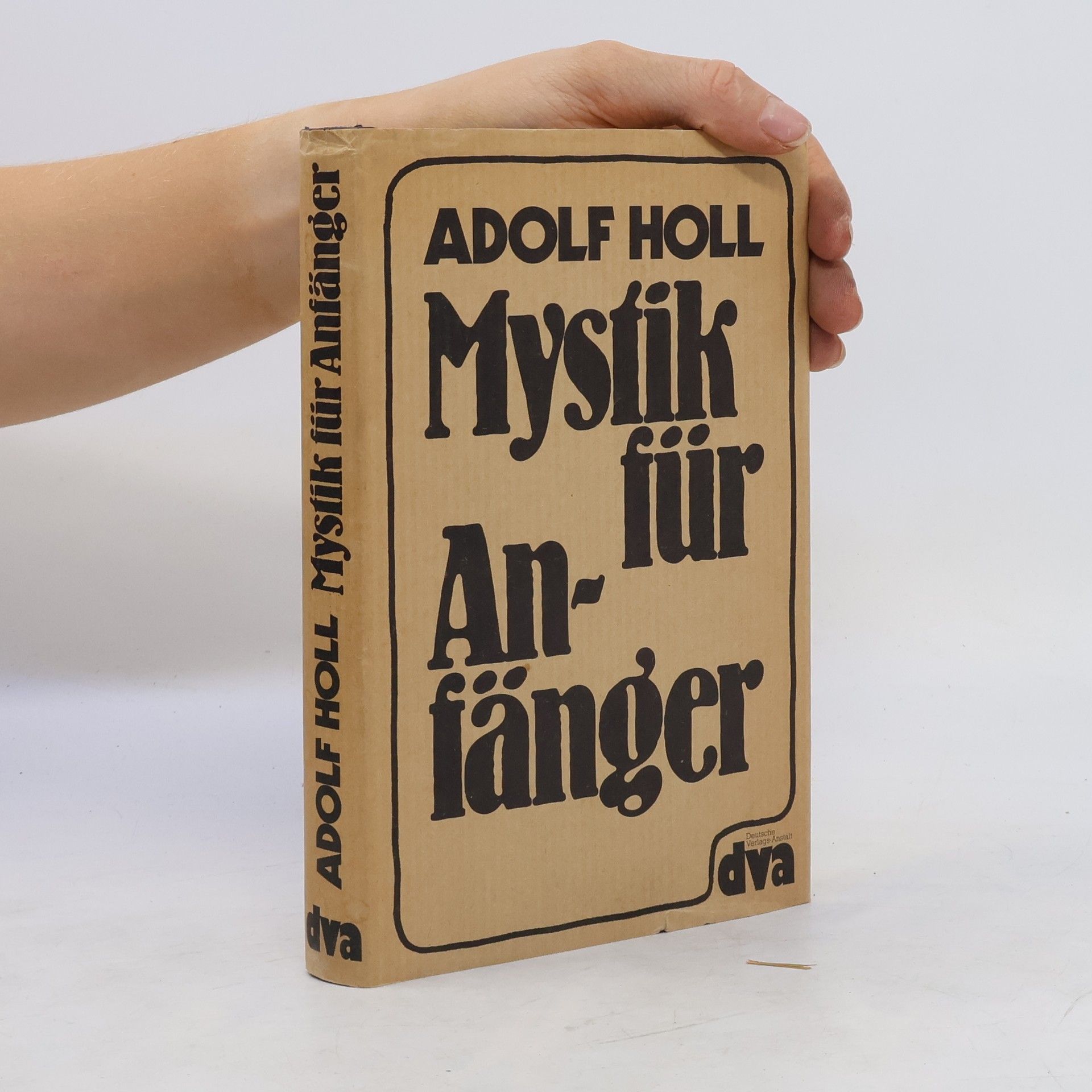 Adolf Holl Mystik für Anfänger