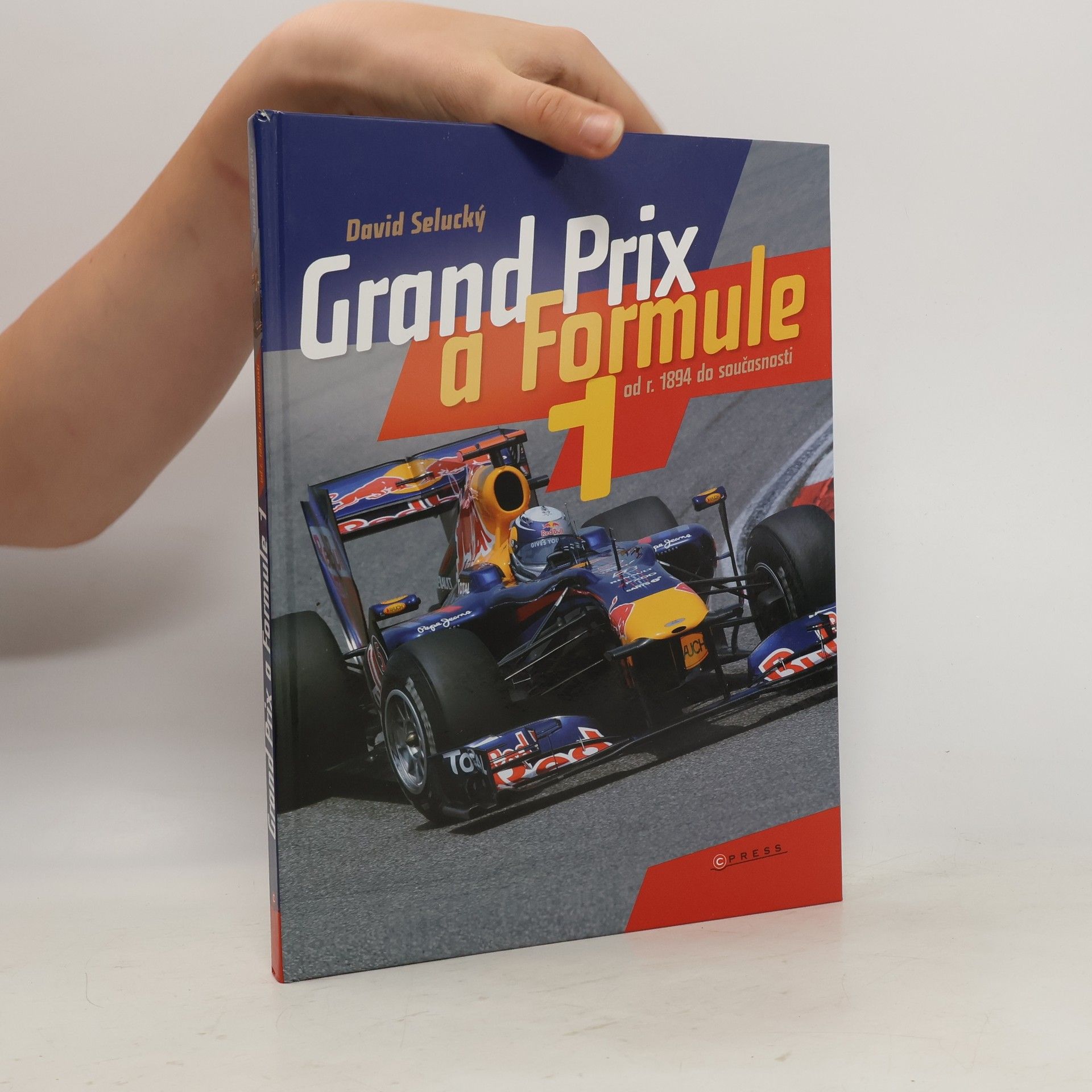 David Selucký Grand Prix a Formule 1