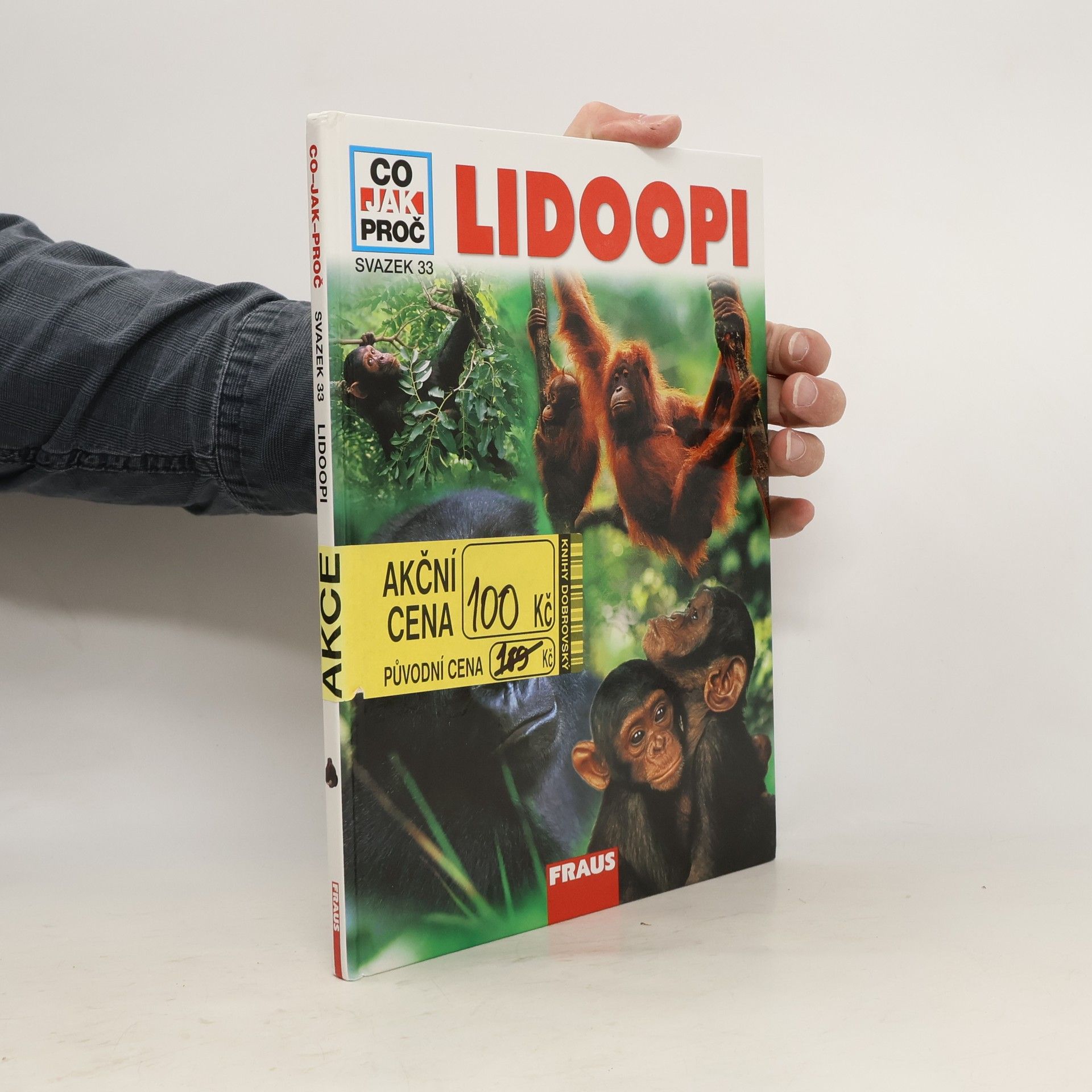 kolektiv Lidoopi