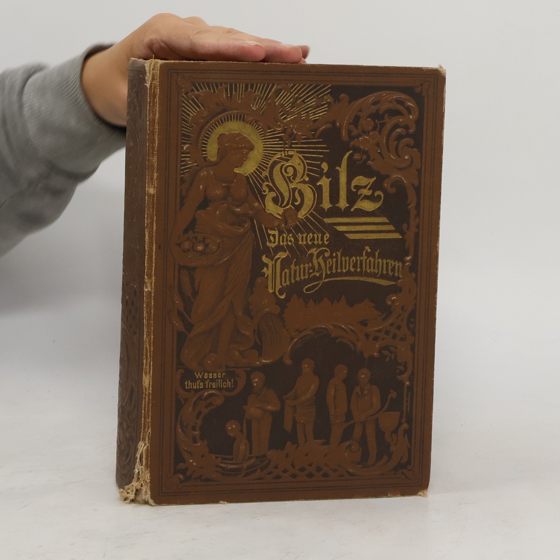 Friedrich Eduard Bilz Das neue Naturheilverfahren