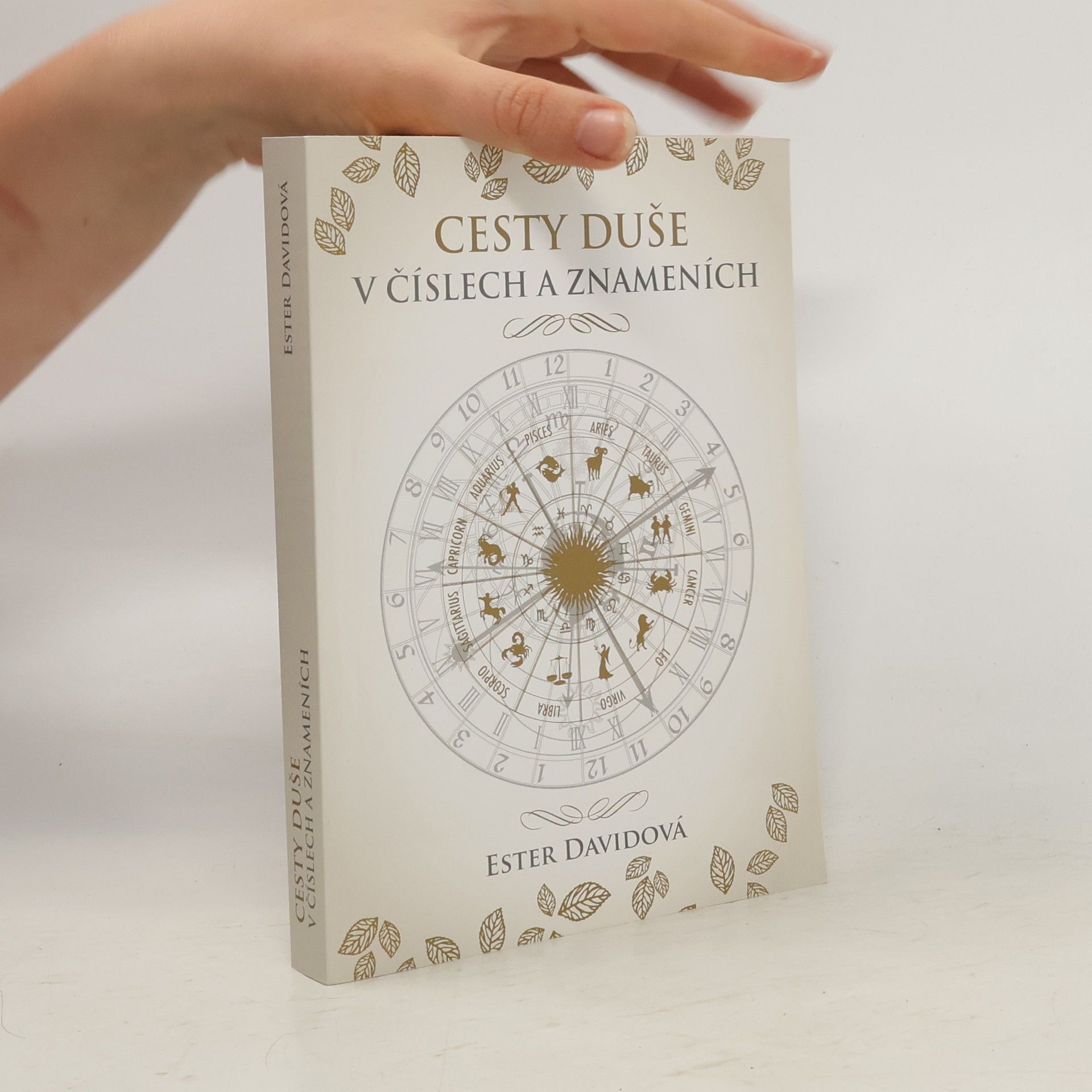 Ester Davidová Cesty duše v číslech a znameních