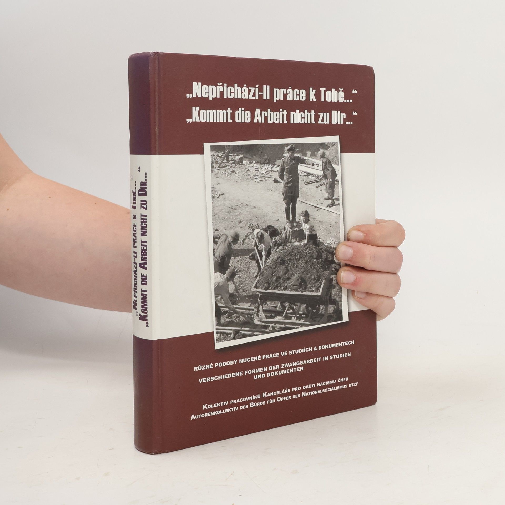 Collectif d'auteurs "Nepřichází-li práce k tobě..."