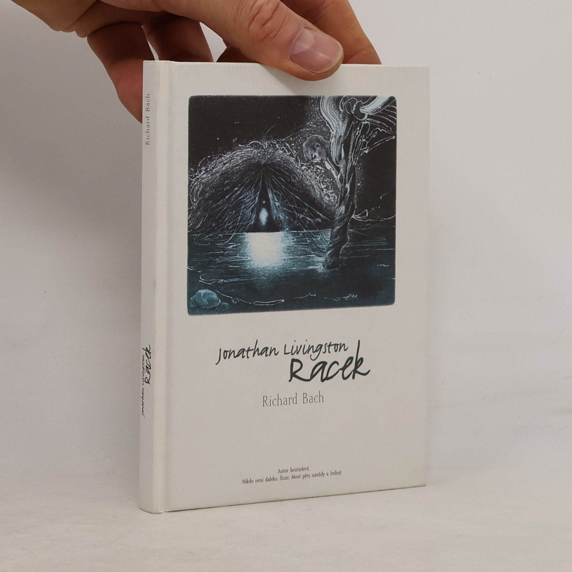 Richard David Bach Jonathan Livingston Racek