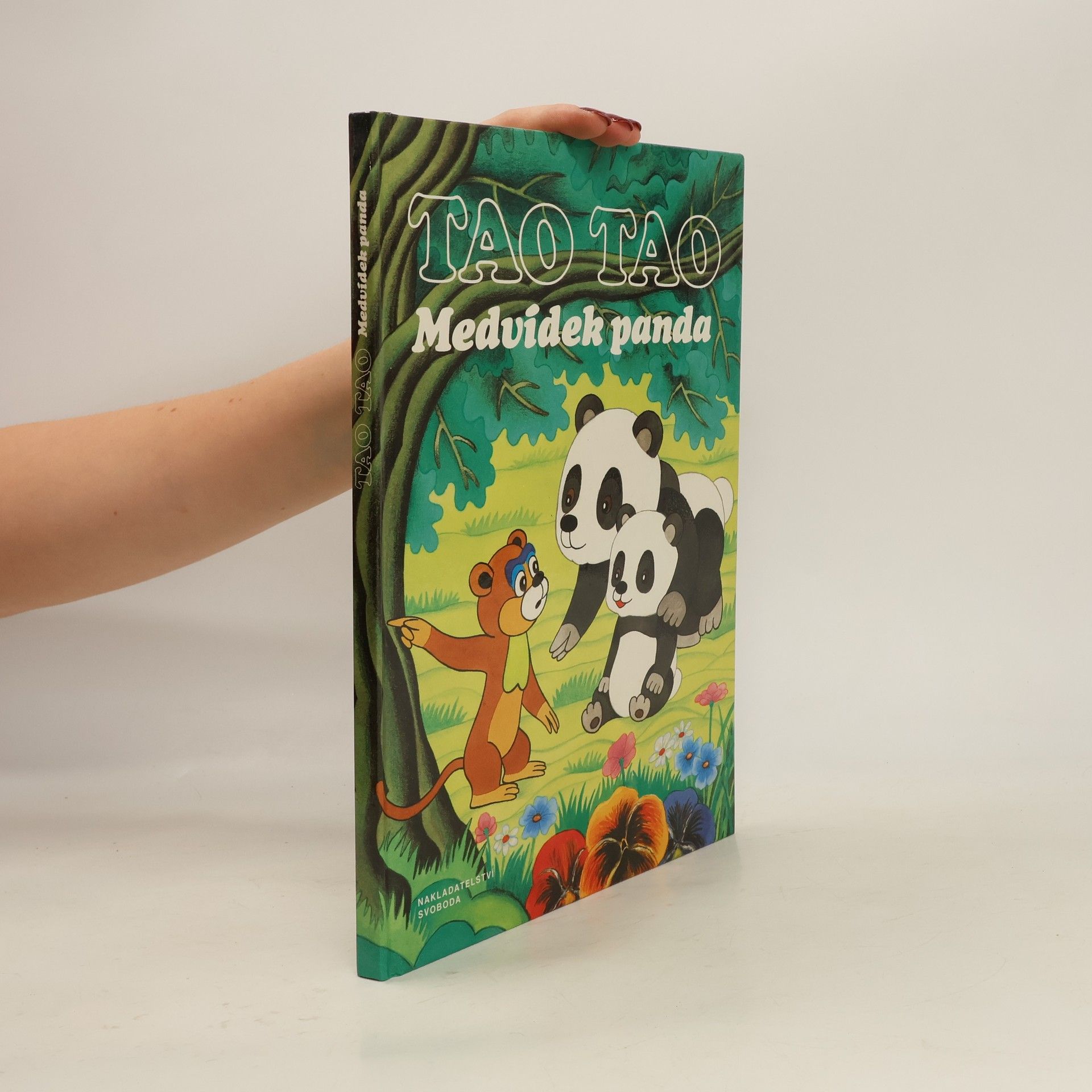 Autorenkollektiv Tao Tao. Medvídek panda