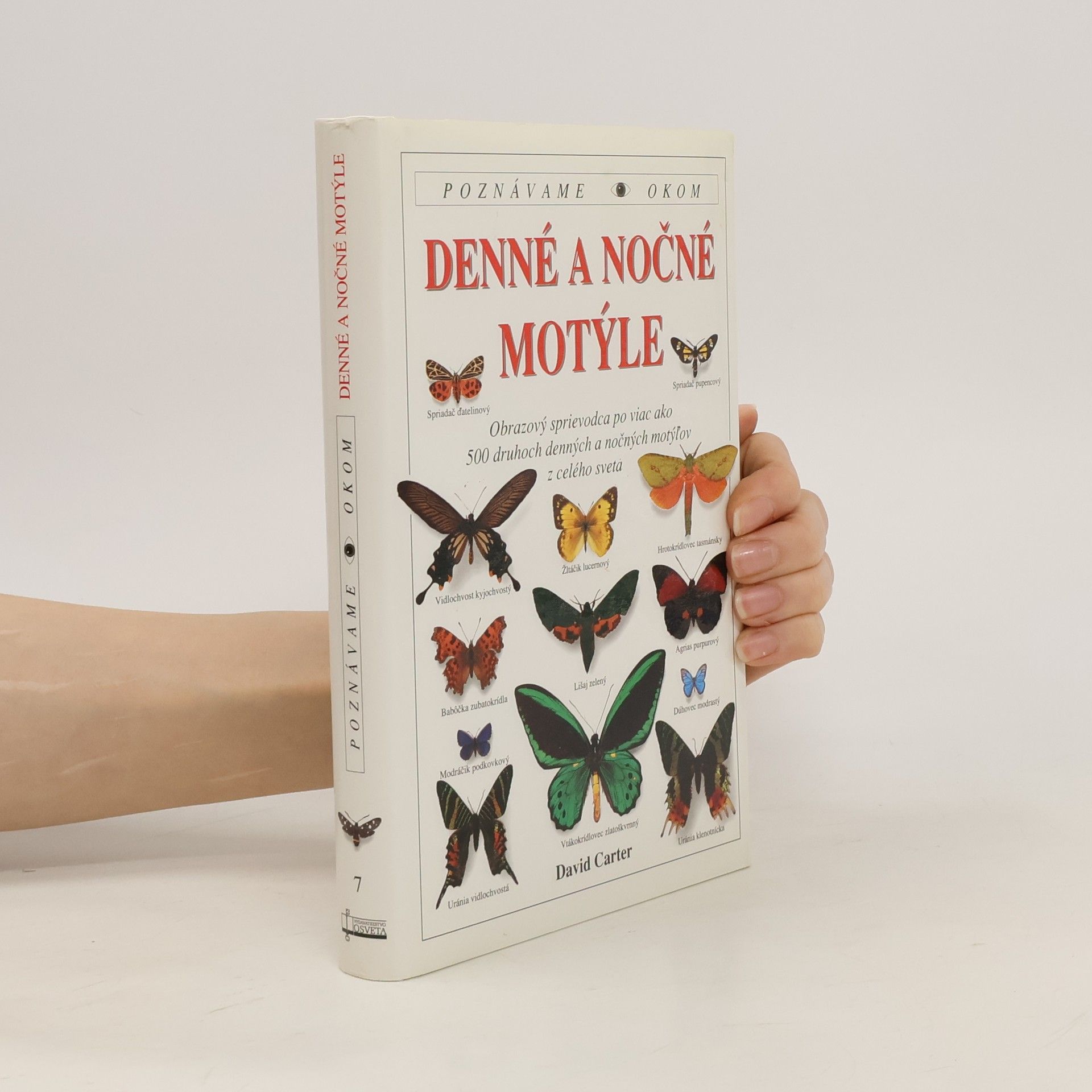 David Carter Denné a nočné motýle