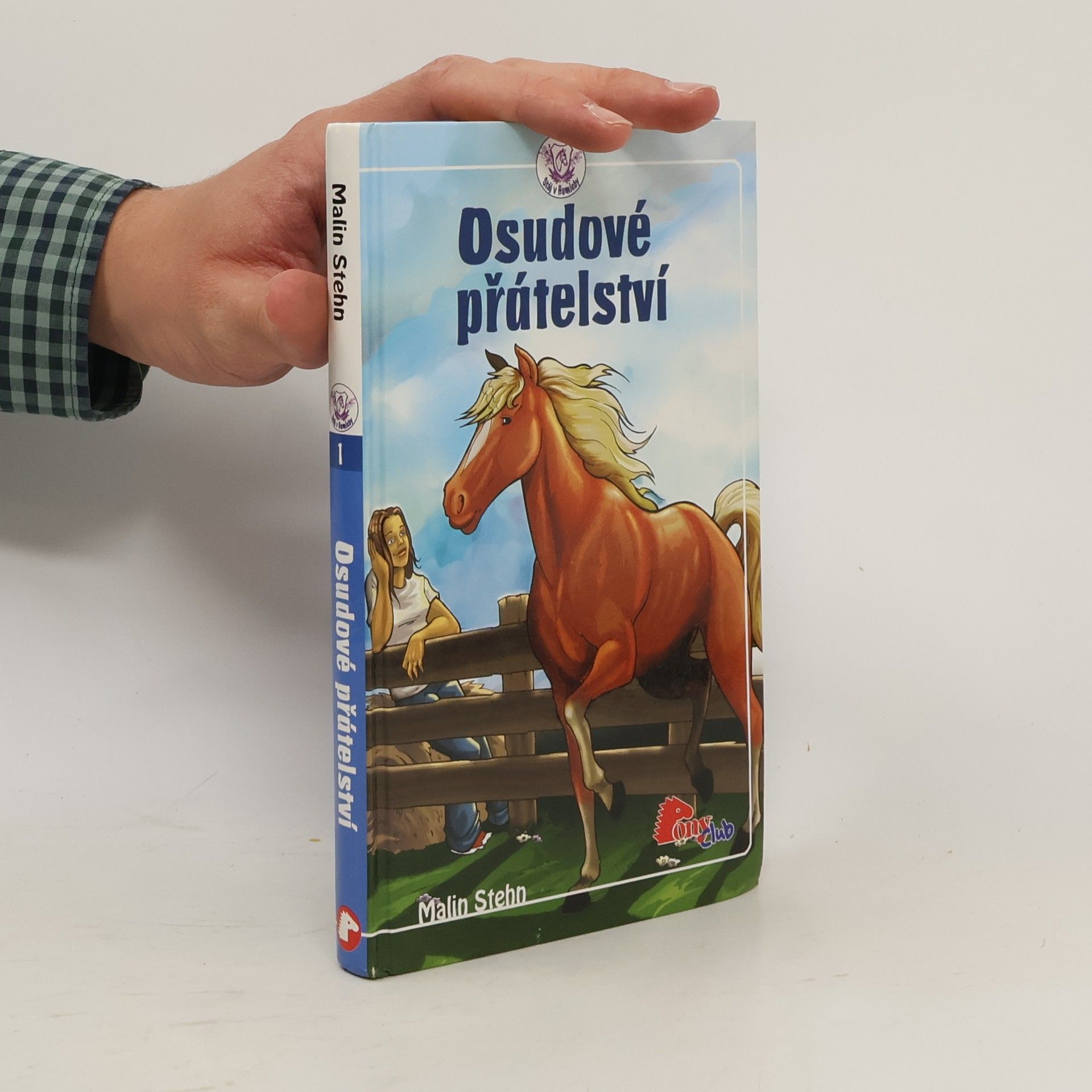 Malin Stehn Osudové přátelství