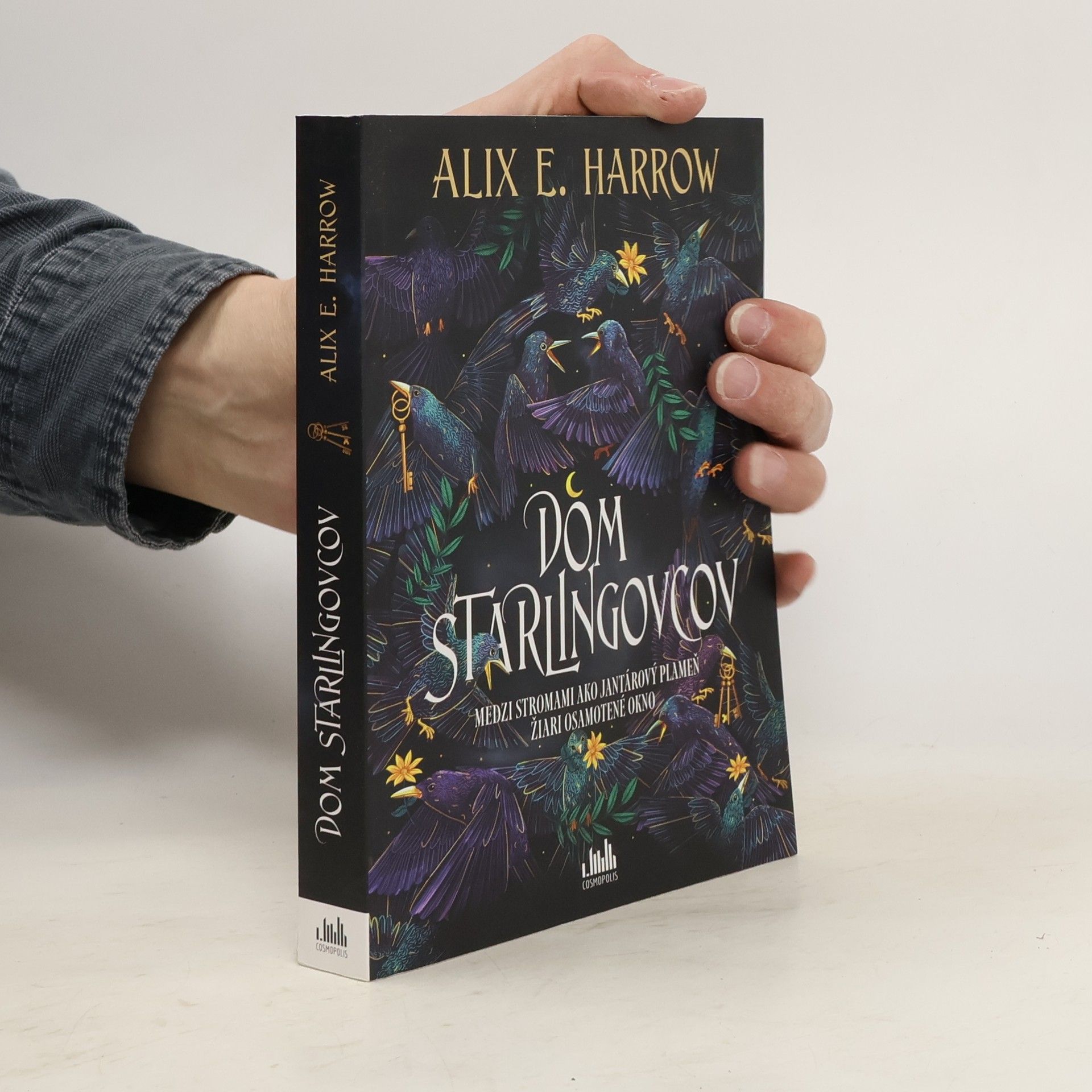 Alix E. Harrow Dom Starlingovcov
