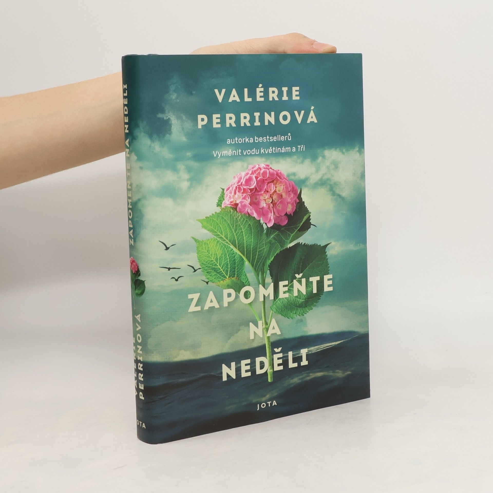 Jitka Řihánková Zapomeňte na neděli