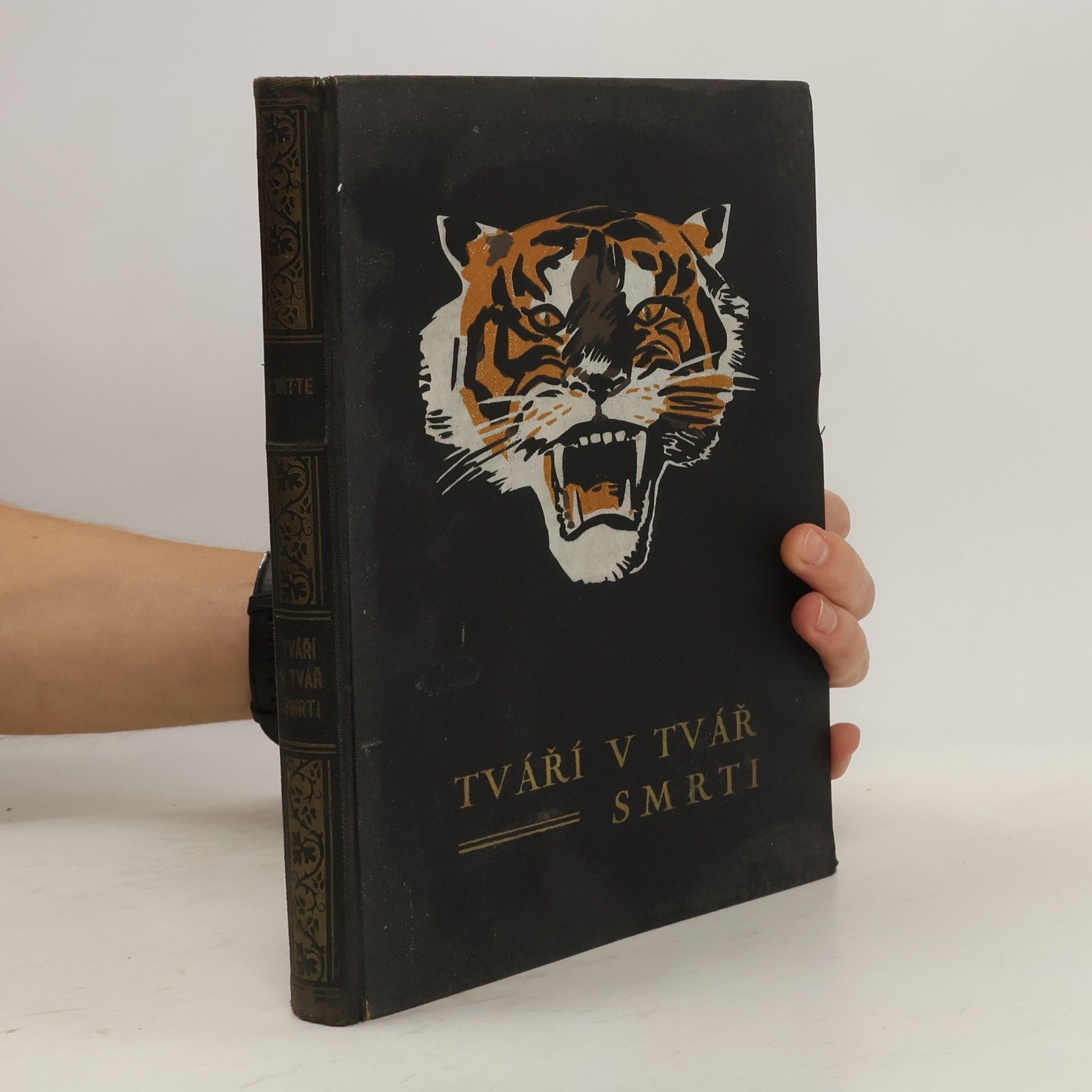 Autorenkollektiv Tváří v tvář smrti