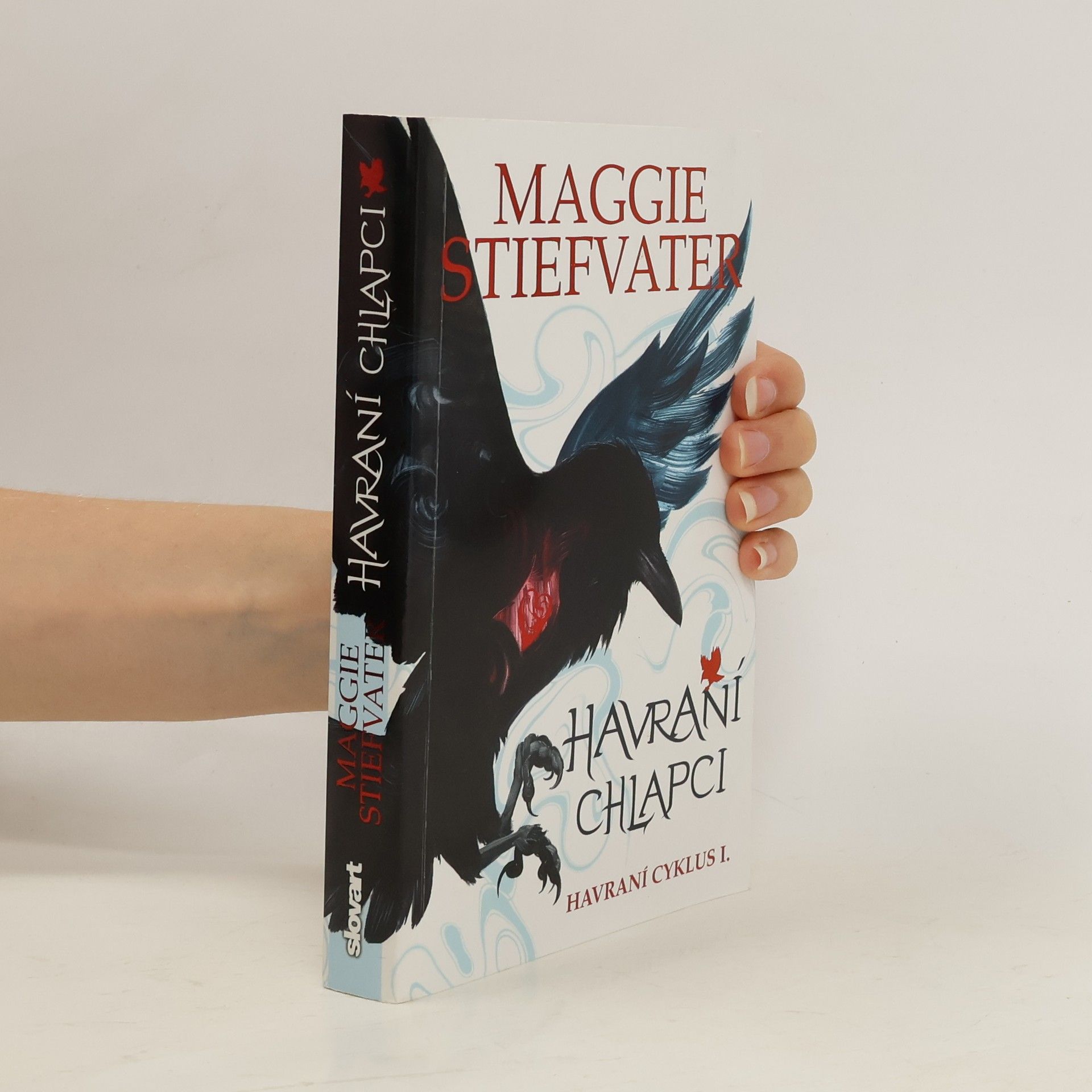 Maggie Stiefvater Havraní chlapci