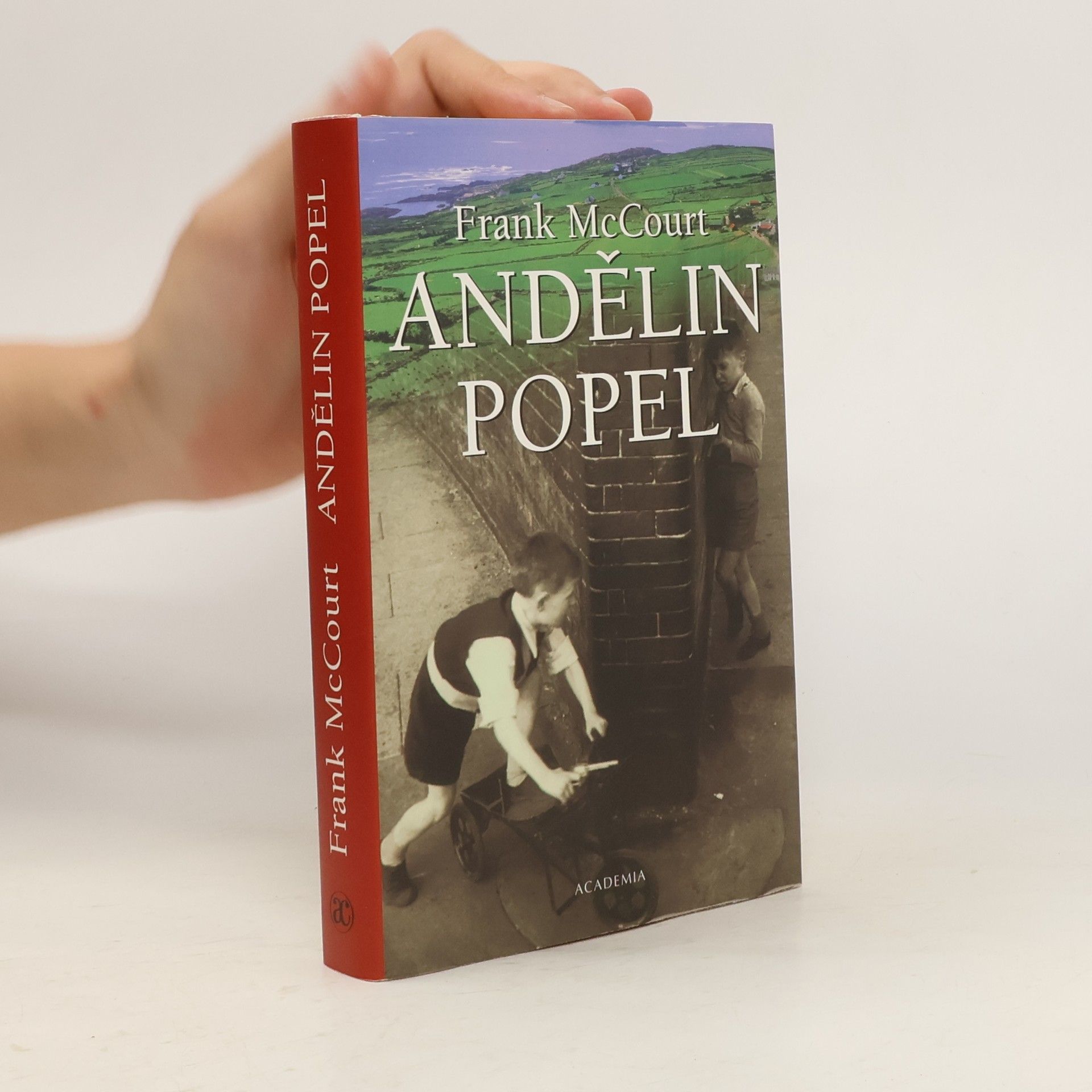 Frank McCourt Andělin popel