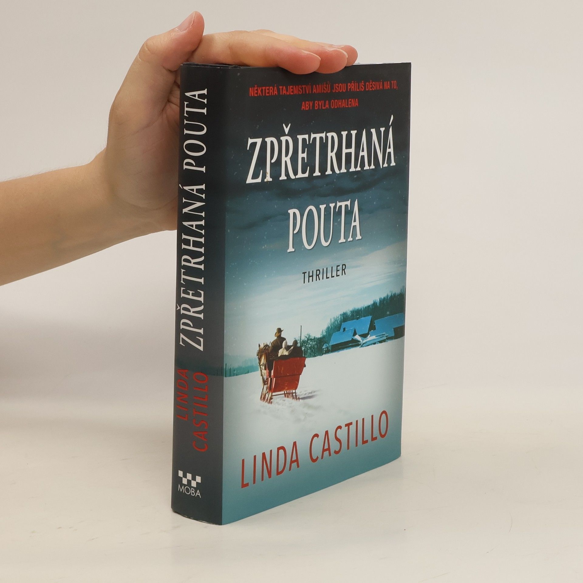 Linda Castillo Zpřetrhaná pouta