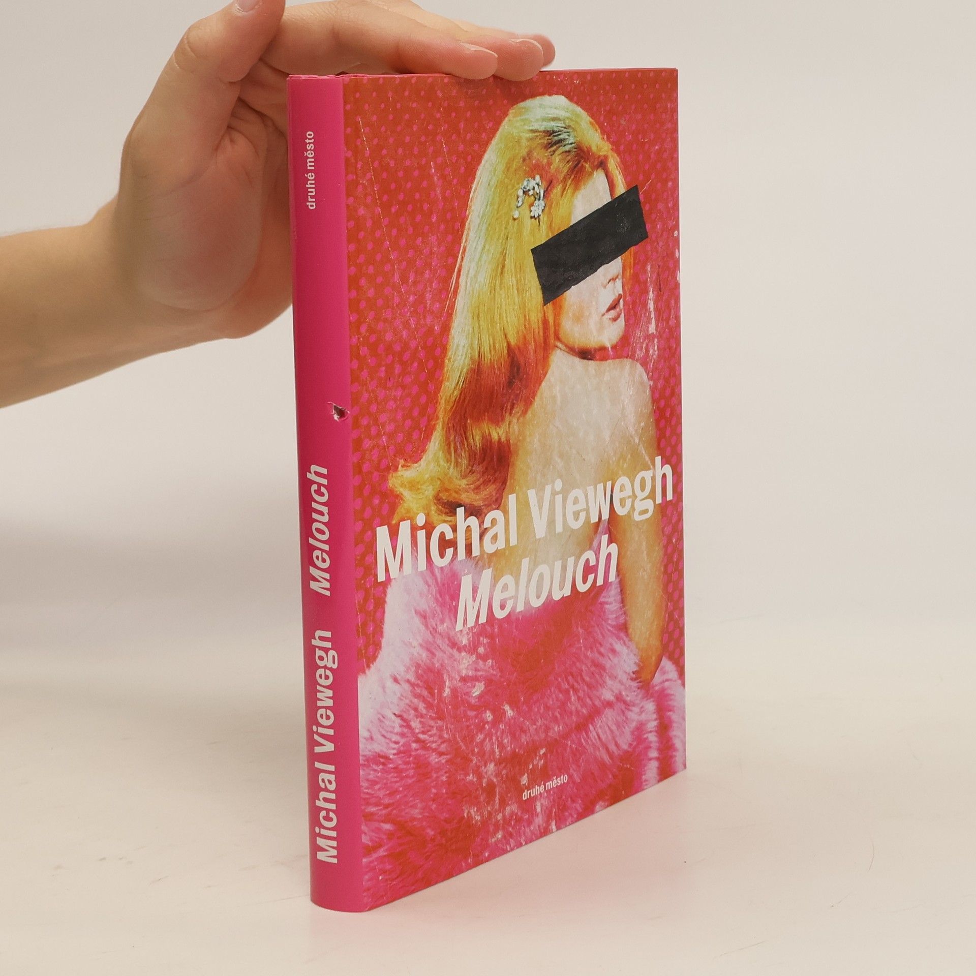 Michal Viewegh Melouch