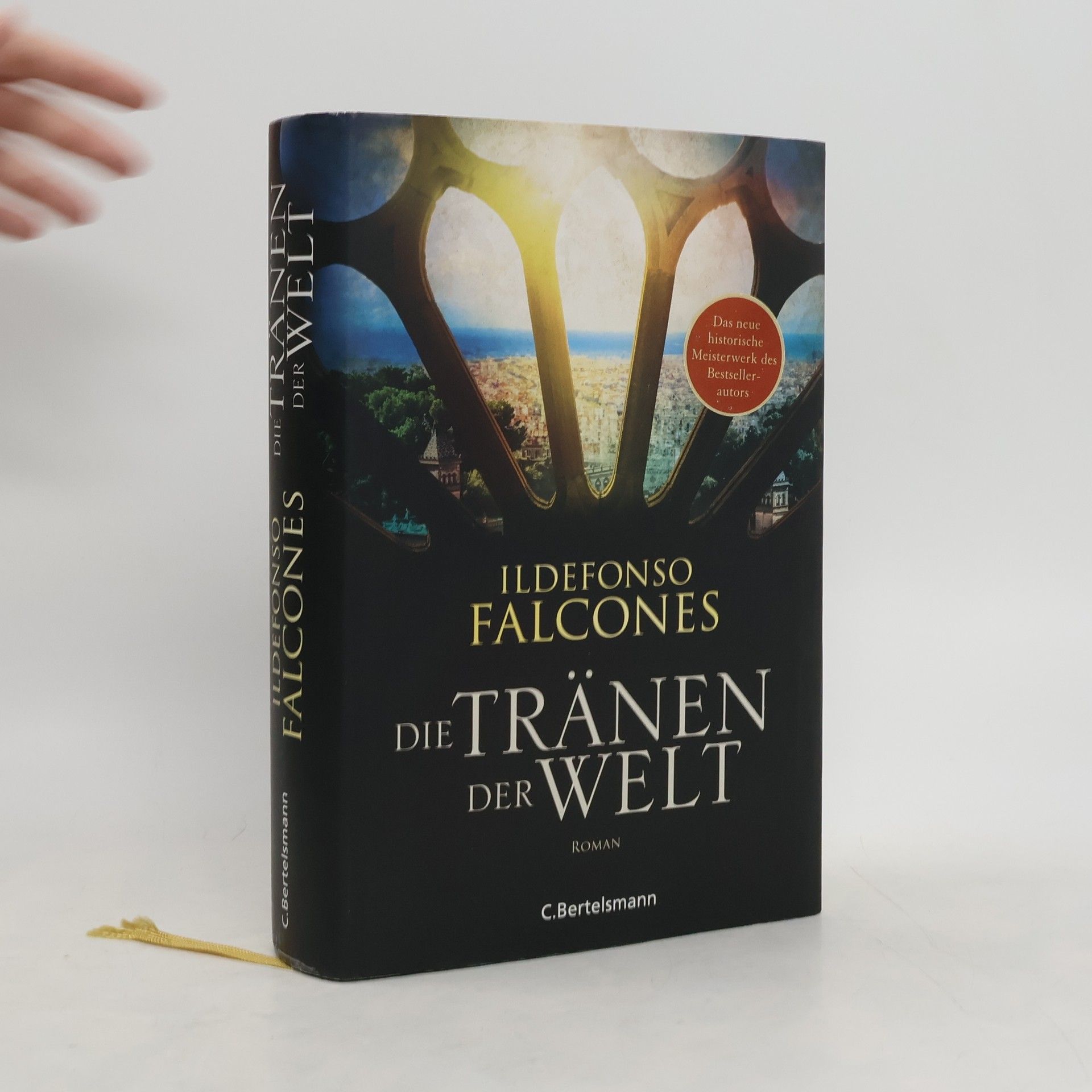 Ildefonso Falcones Die Tränen der Welt