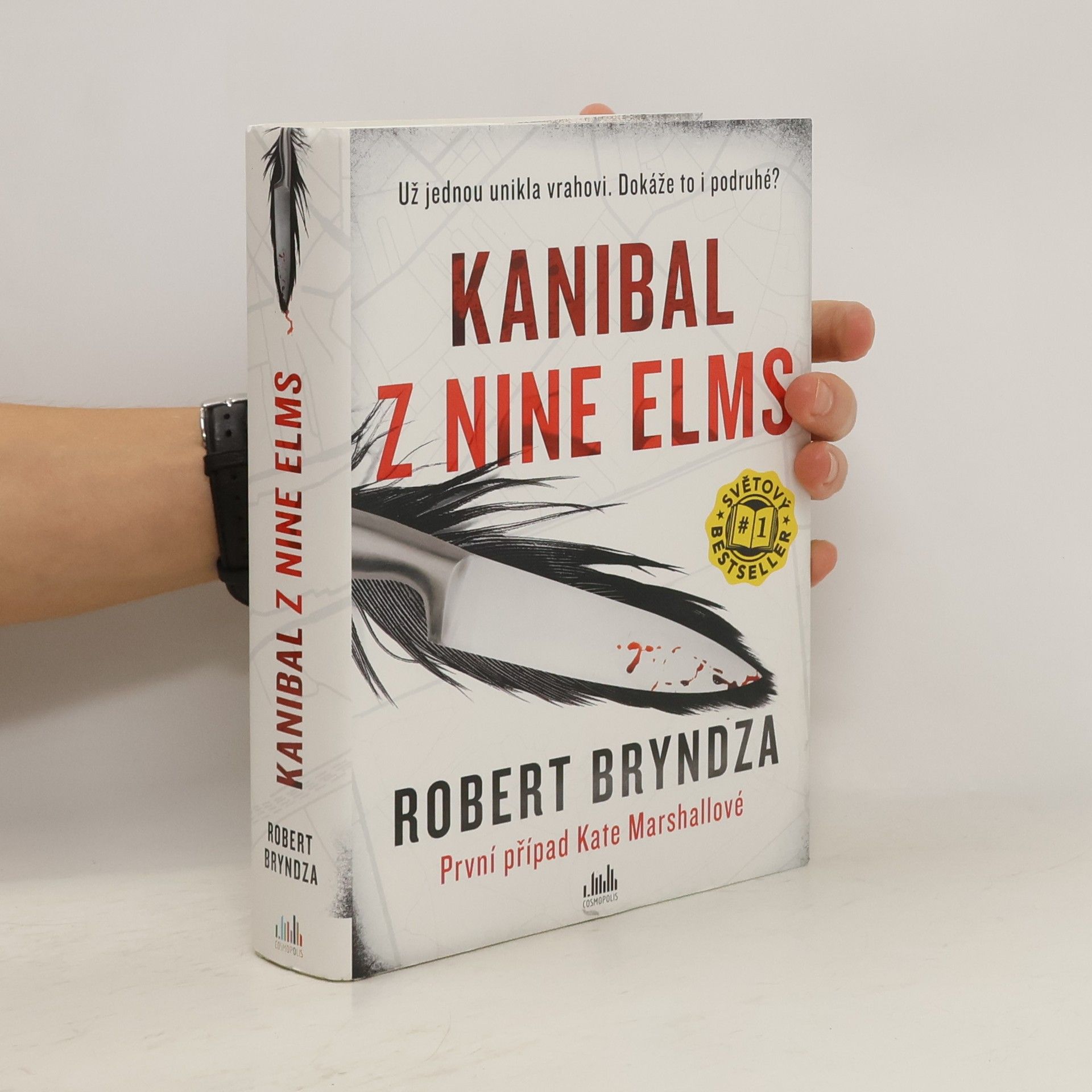 Robert Bryndza Kanibal z Nine Elms