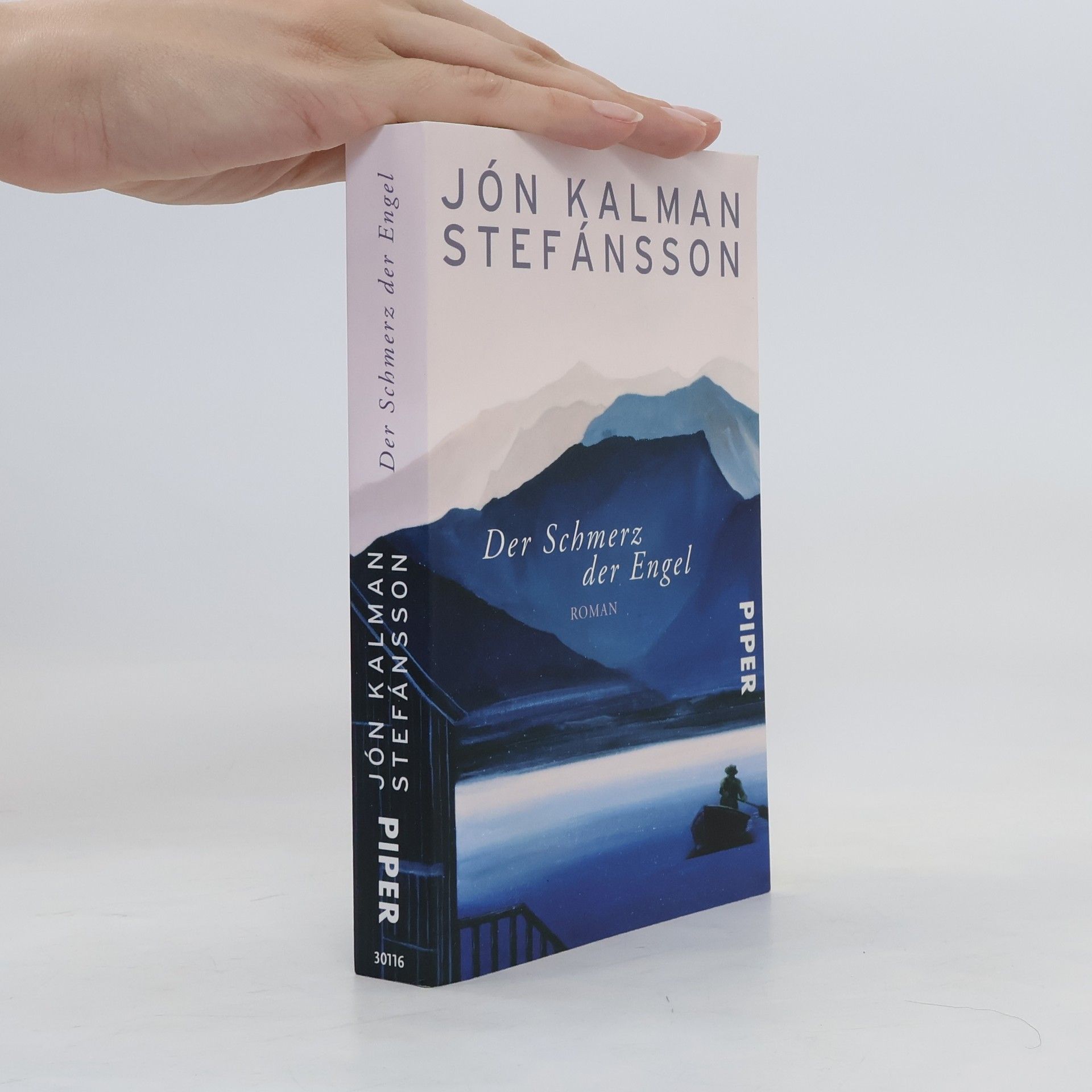 Jón Kalman Stefánsson Der Schmerz der Engel