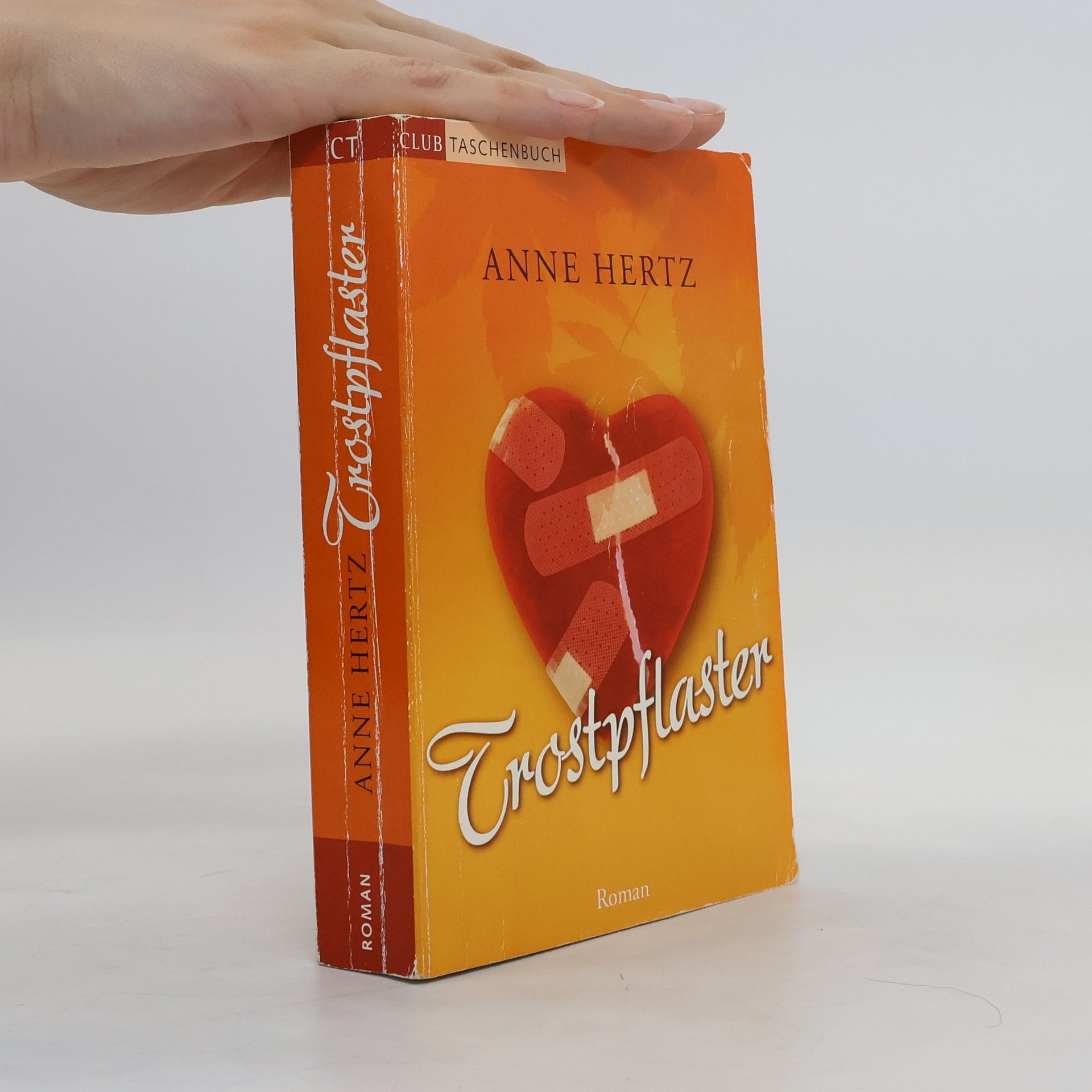Anne Hertz Trostpflaster
