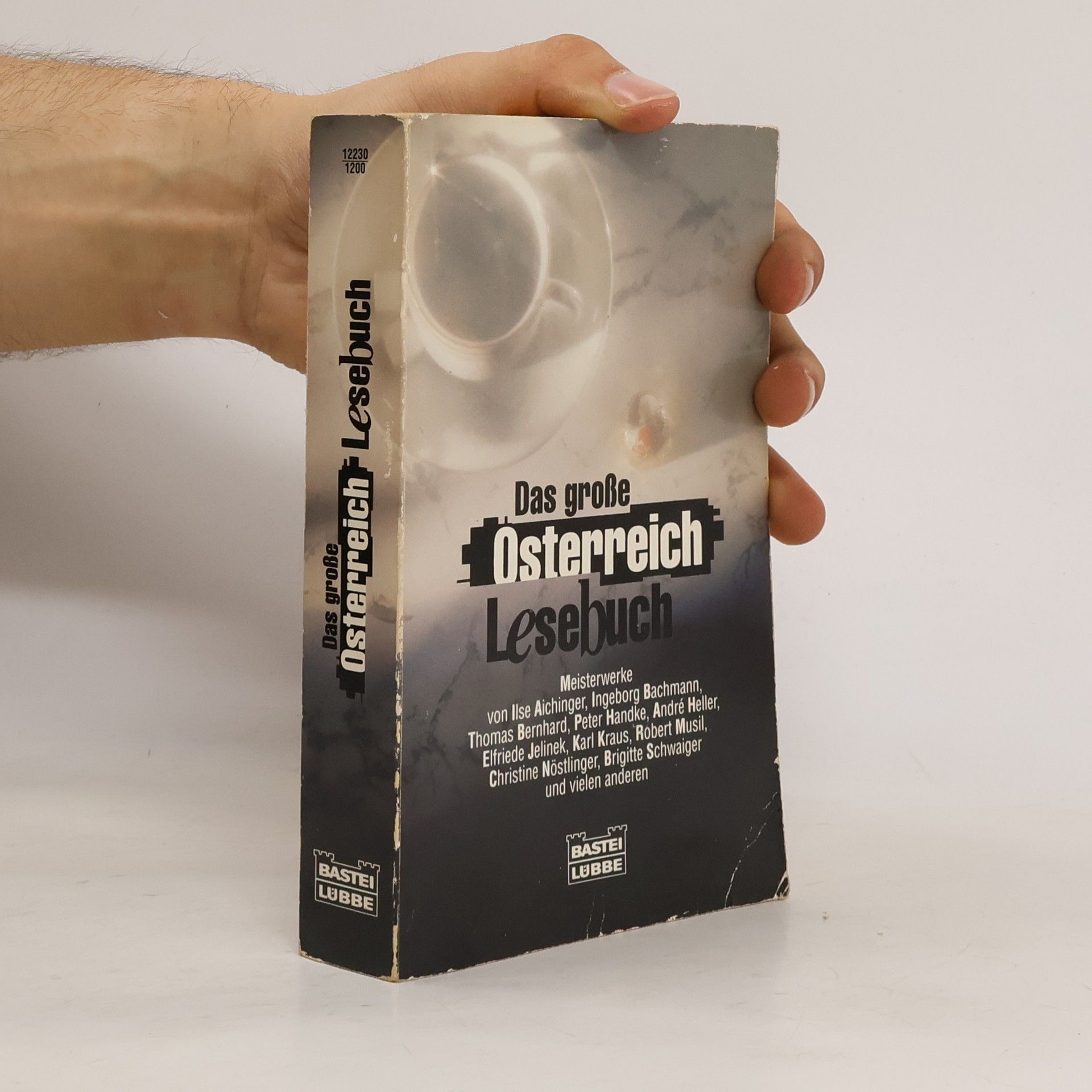 kolektiv Das grosse Österreich Lesebuch