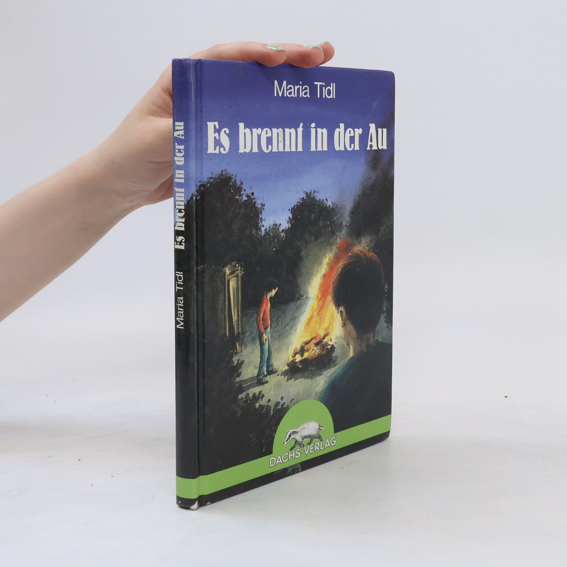 Maria Tidl Es brennt in der Au