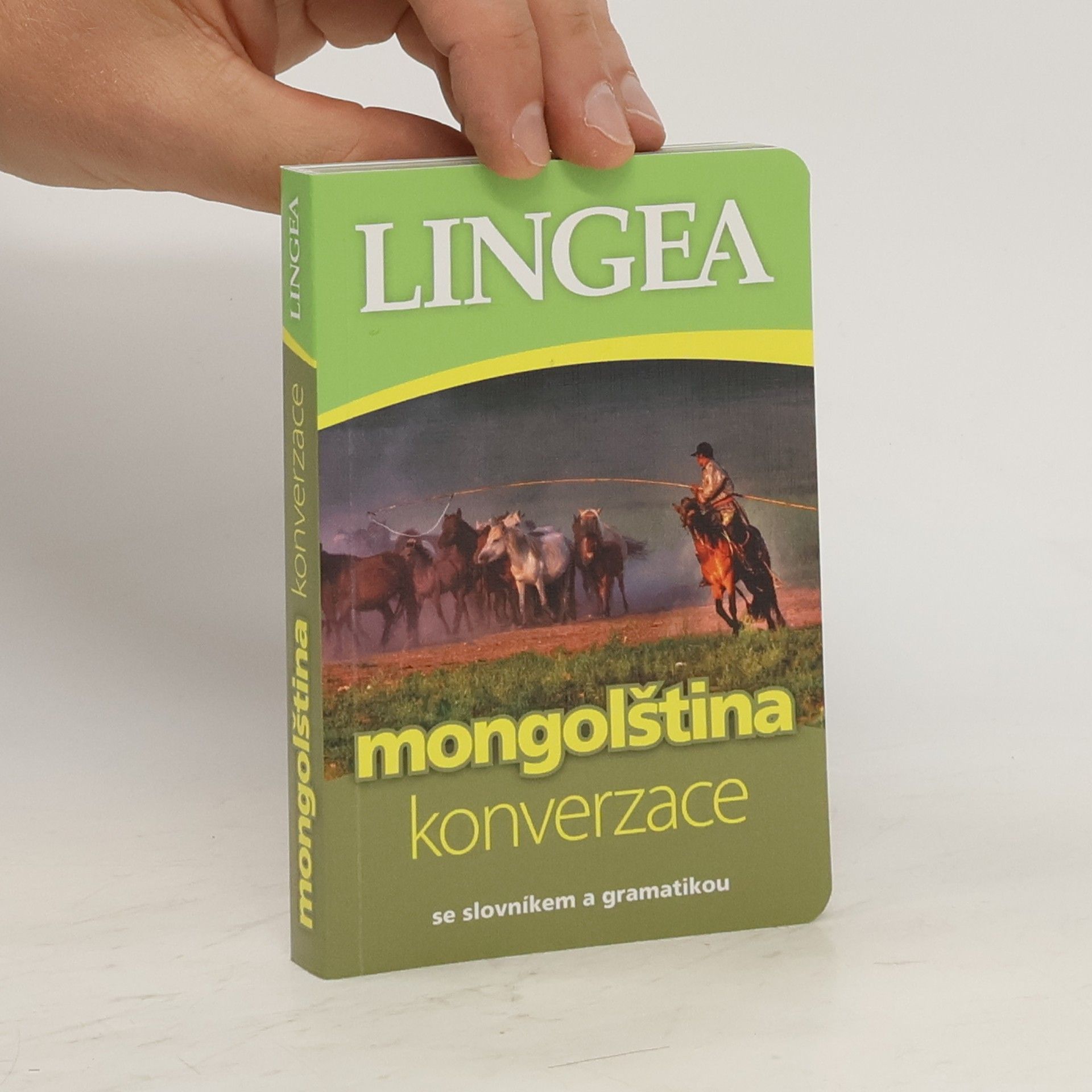 kolektiv Česko-mongolská konverzace