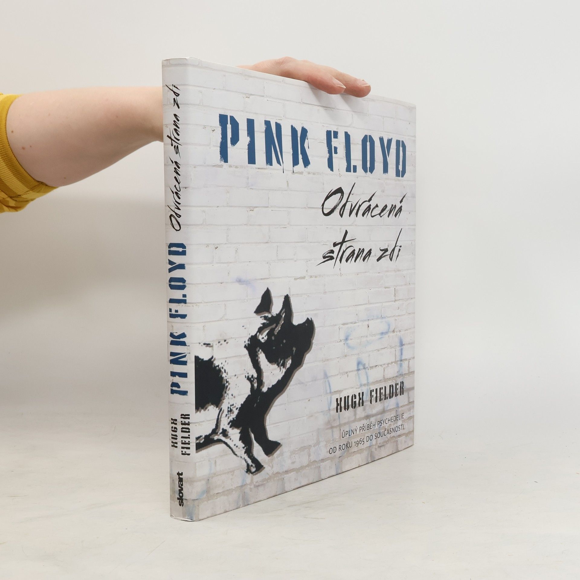 Hugh Fielder Pink Floyd : odvrácená strana zdi : úplný příběh psychedelie od roku 1965 do současnosti