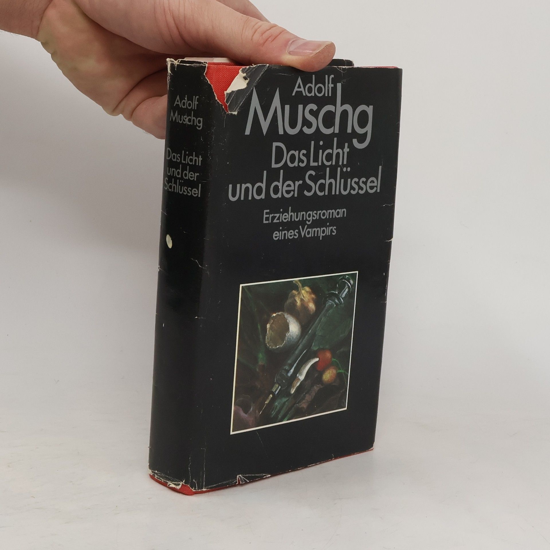 Adolf Muschg Das Licht und der Schlüssel