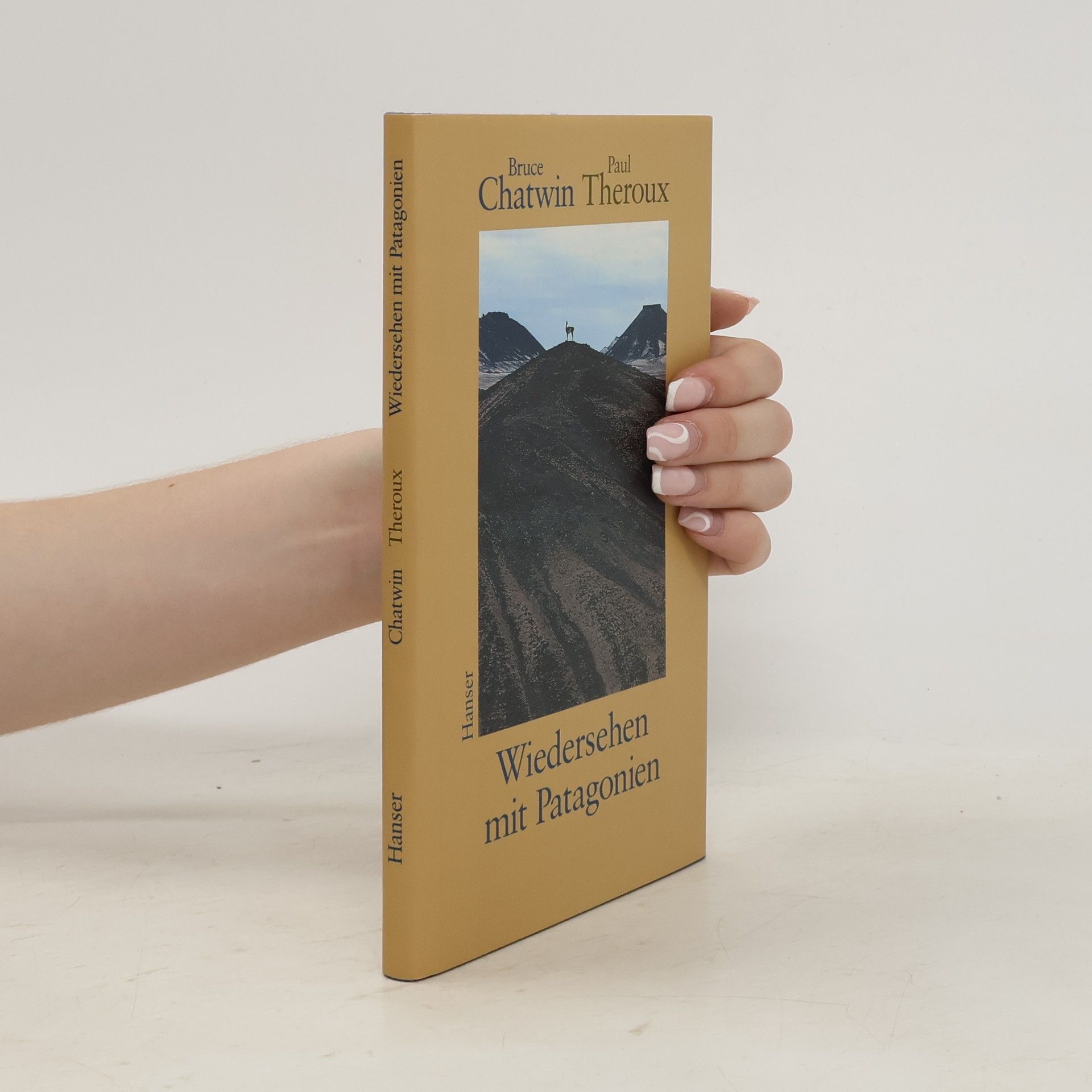 Bruce Chatwin Wiedersehen mit Patagonien