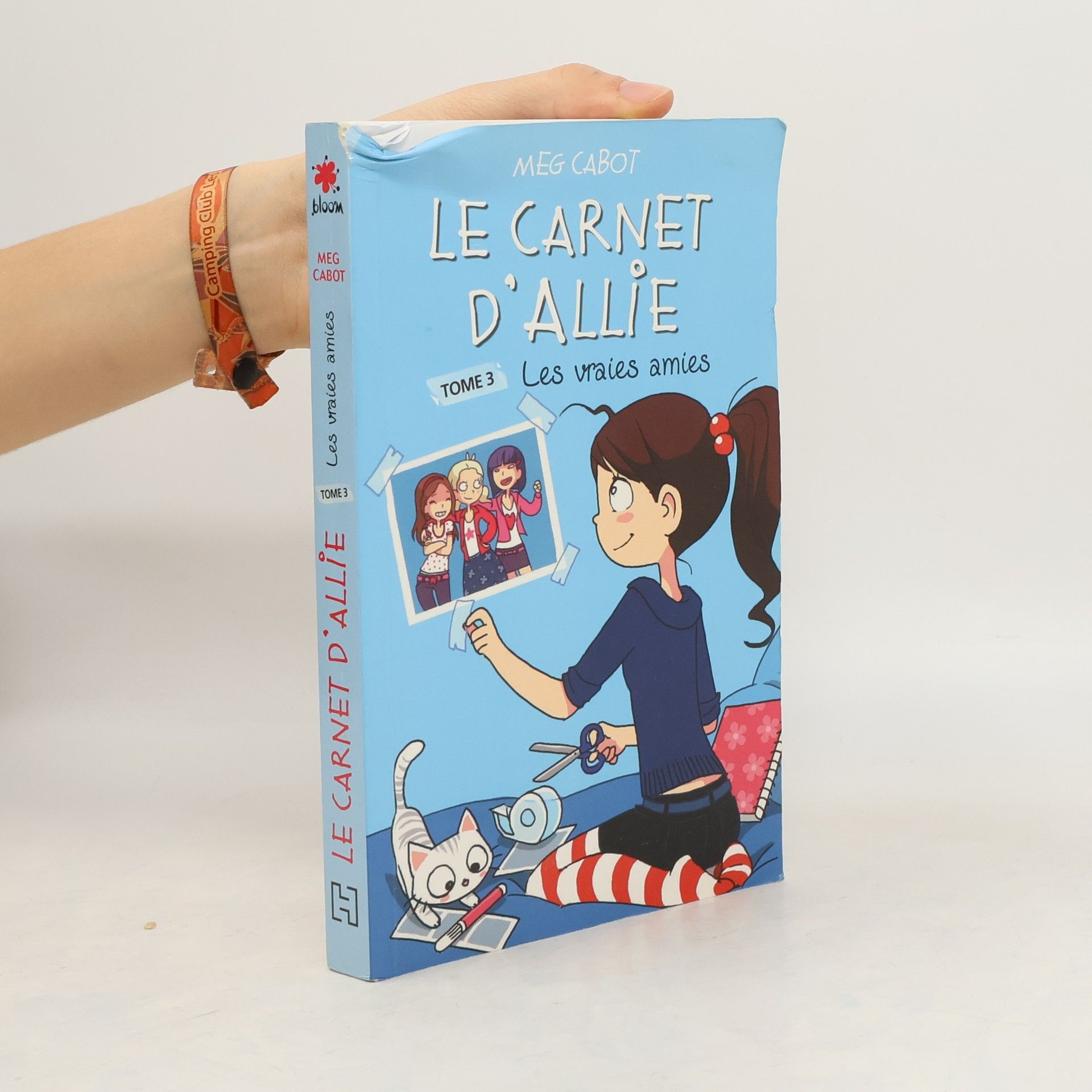 Patricia Cabot Le Carnet d'Allie 3