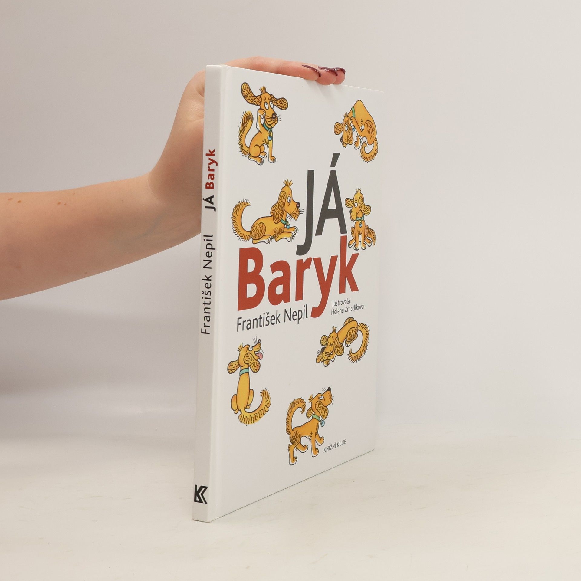 František Nepil Já, Baryk
