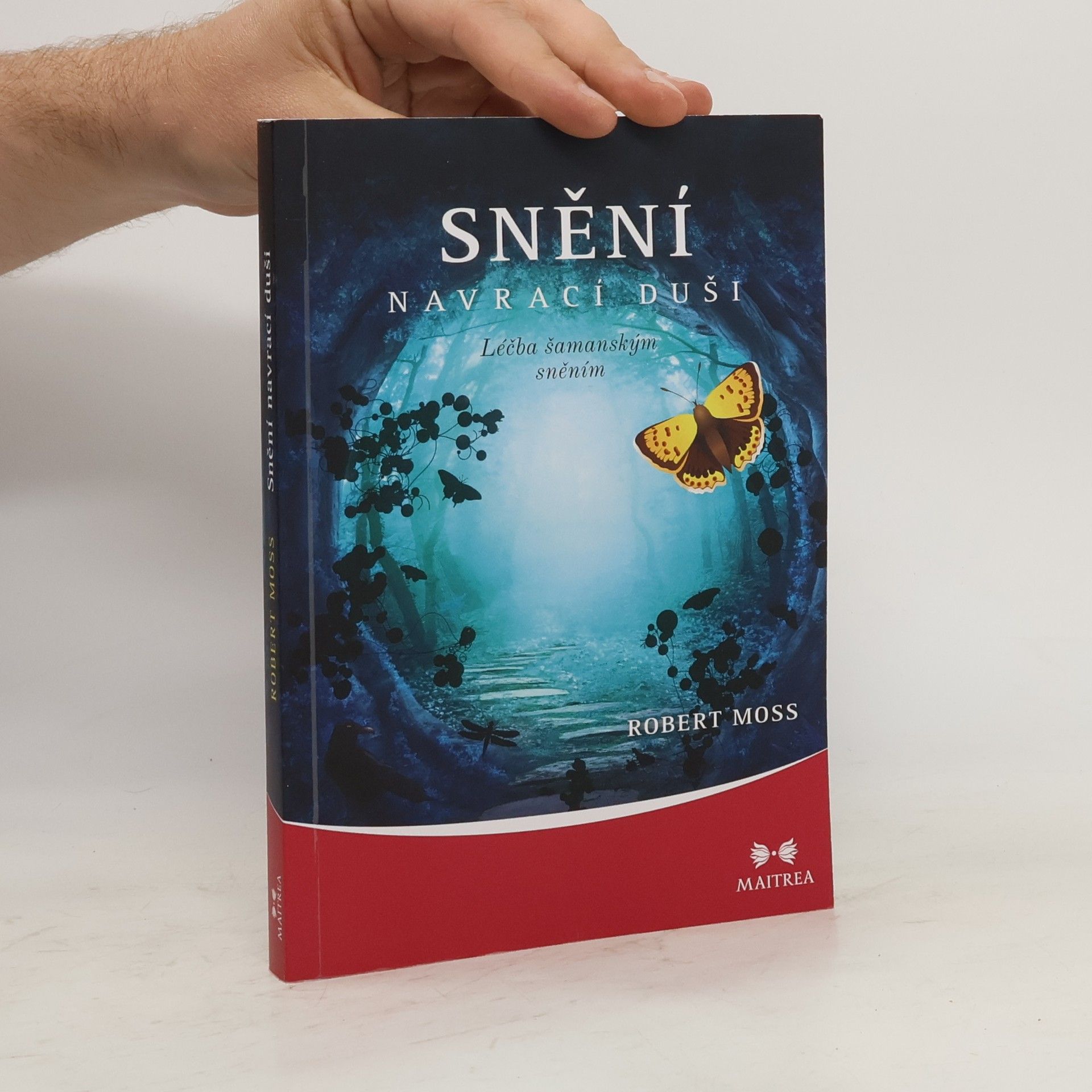Robert Moss Snění navrací duši. Léčba šamanským sněním